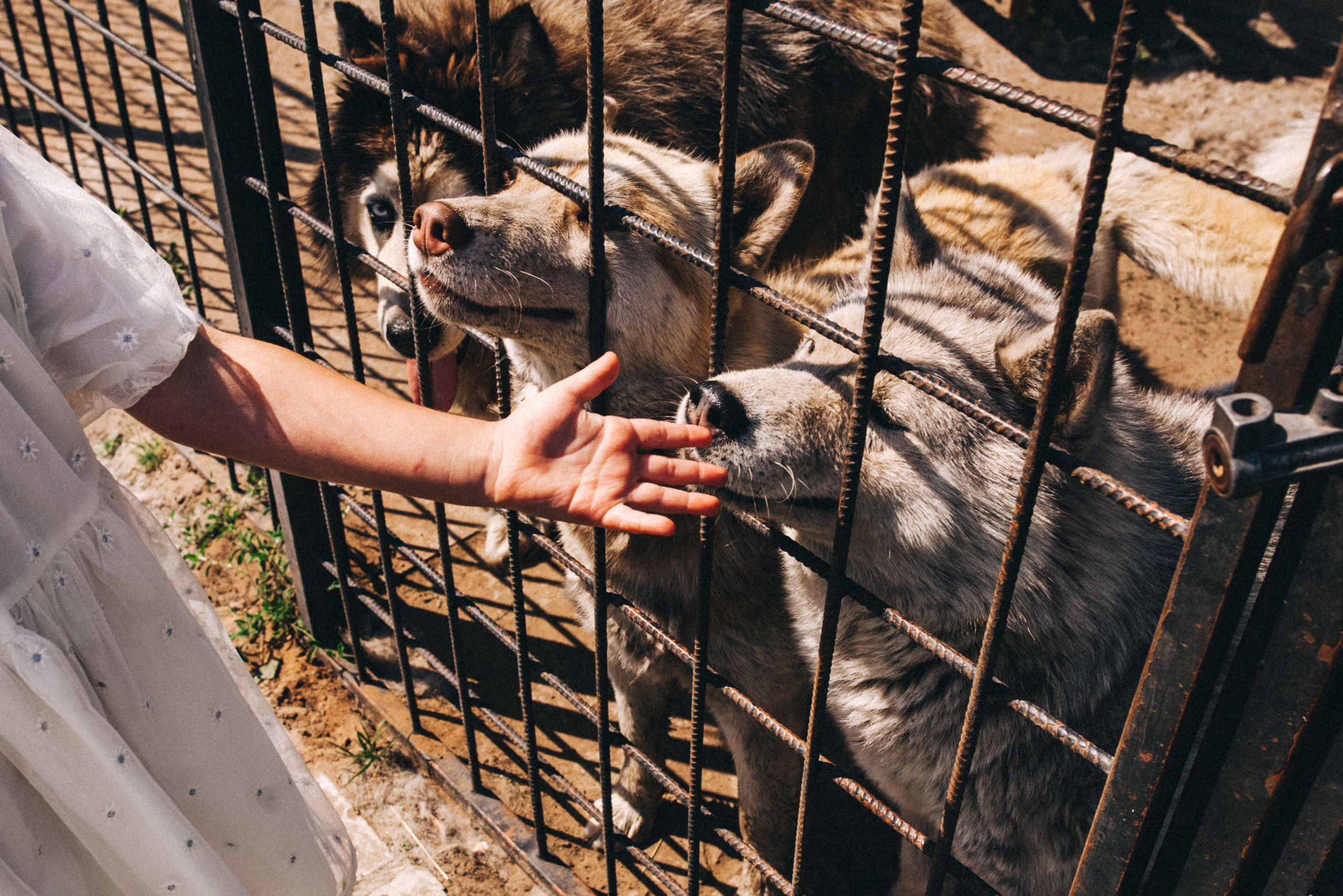 Есении 5 лет. ДР на даче. Семейный фотограф, фотограф родов, репортажей фотограф в Санкт-Петербу