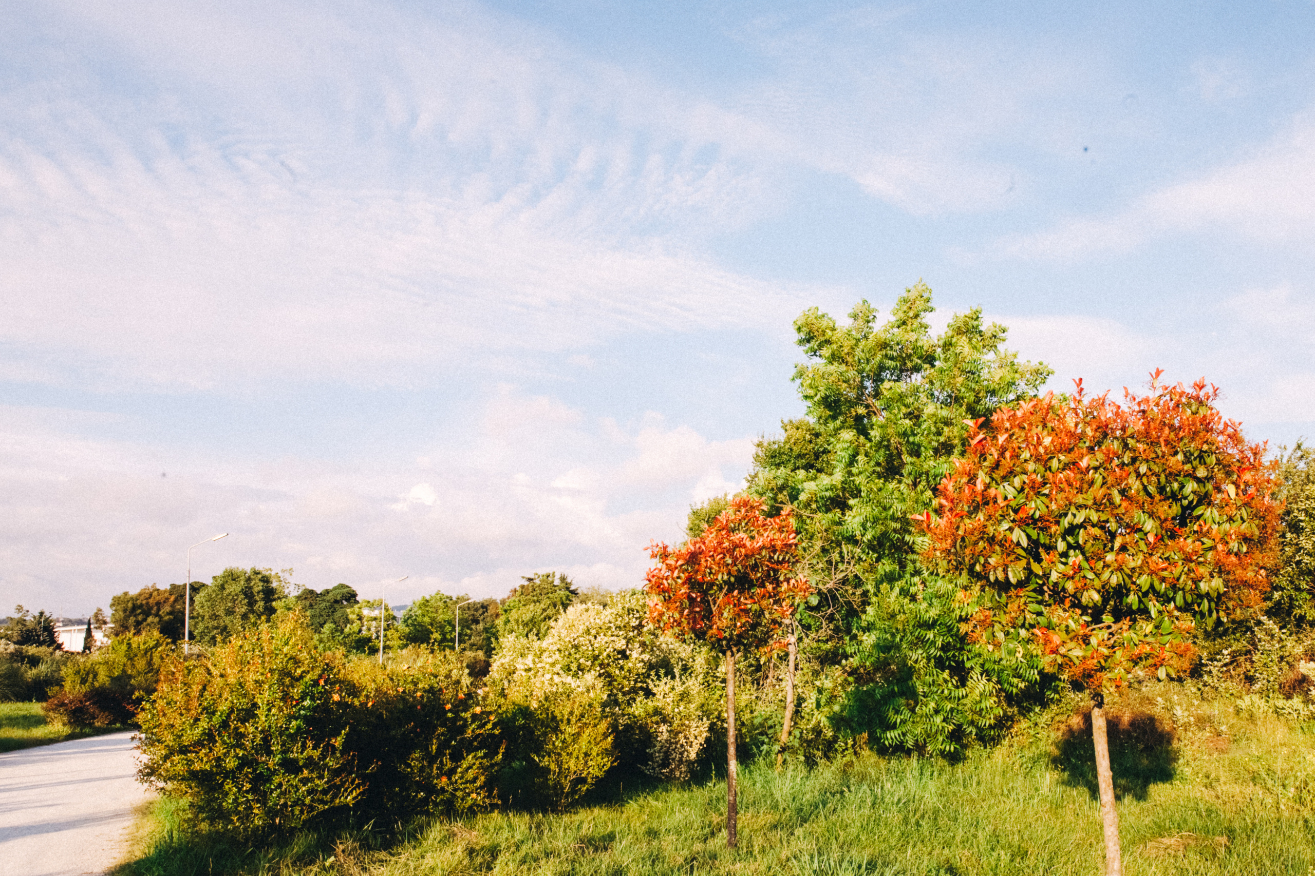 Вася, Маша, Соня. Отпуск в Адлере. Семейный фотограф, фотограф родов, репортажей фотограф в Санкт-Петербу