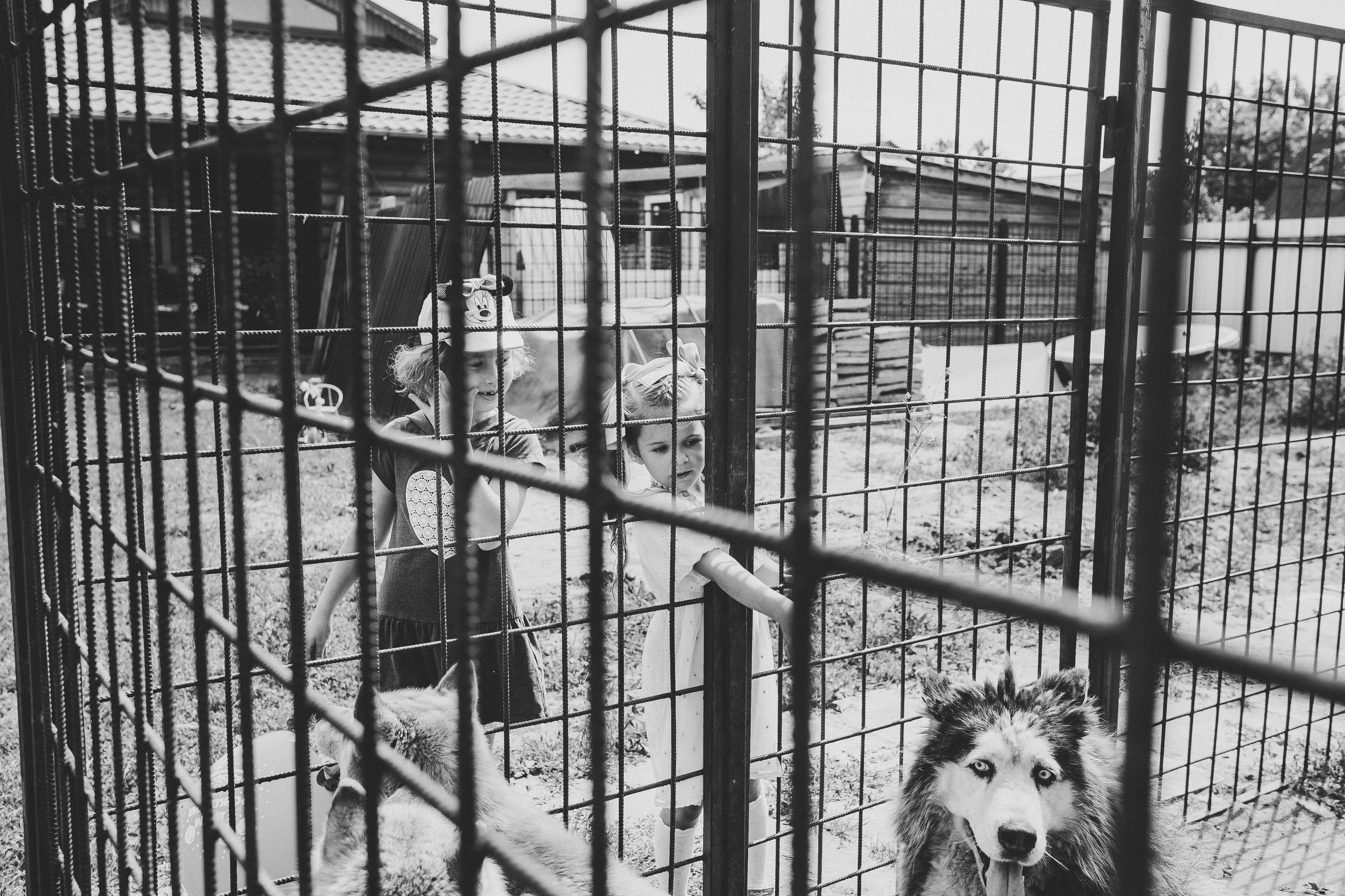 Есении 5 лет. ДР на даче. Семейный фотограф, фотограф родов, репортажей фотограф в Санкт-Петербу