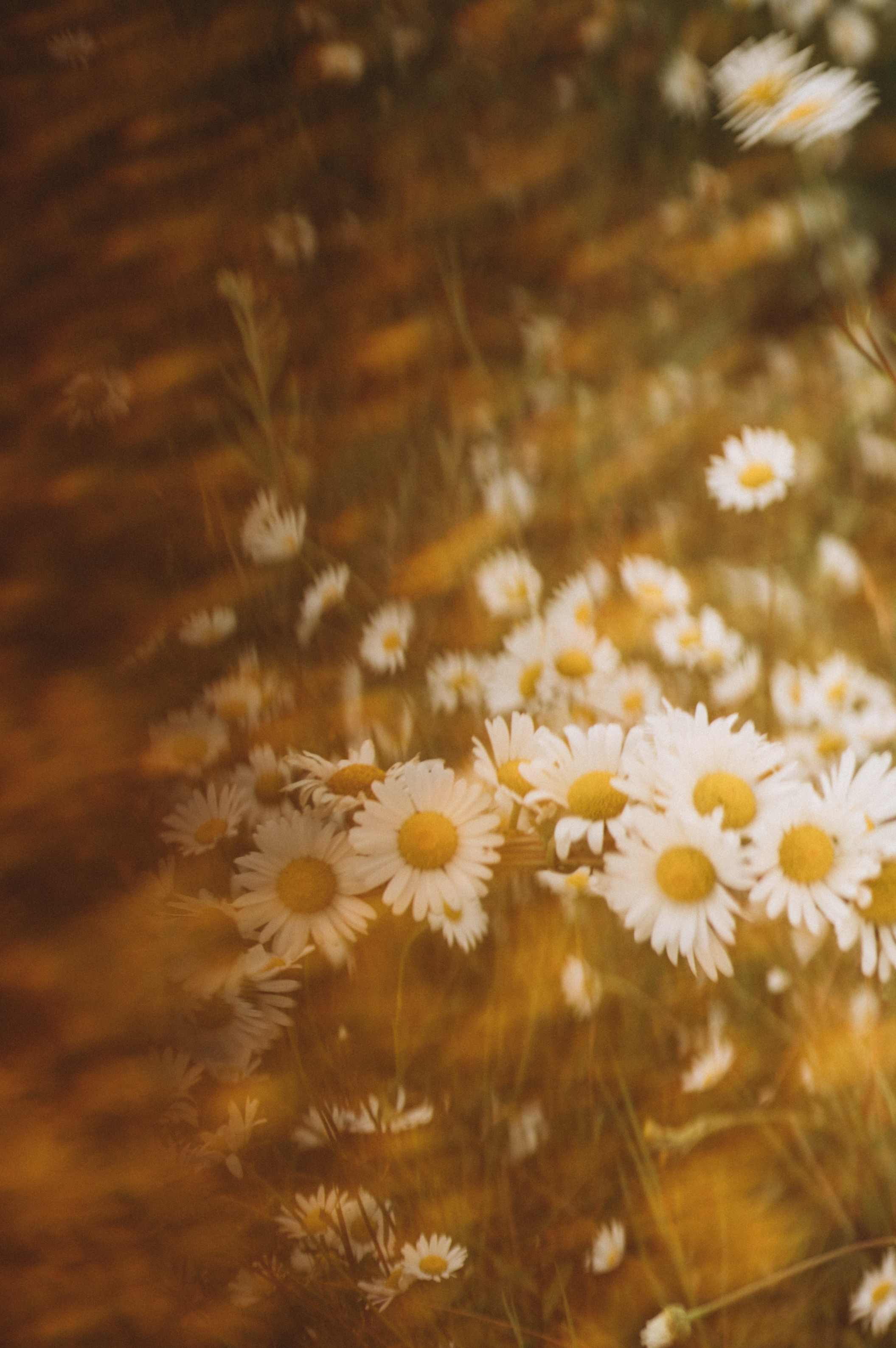 Женя. Мария Кобзева, фотограф в Ялте, Крым