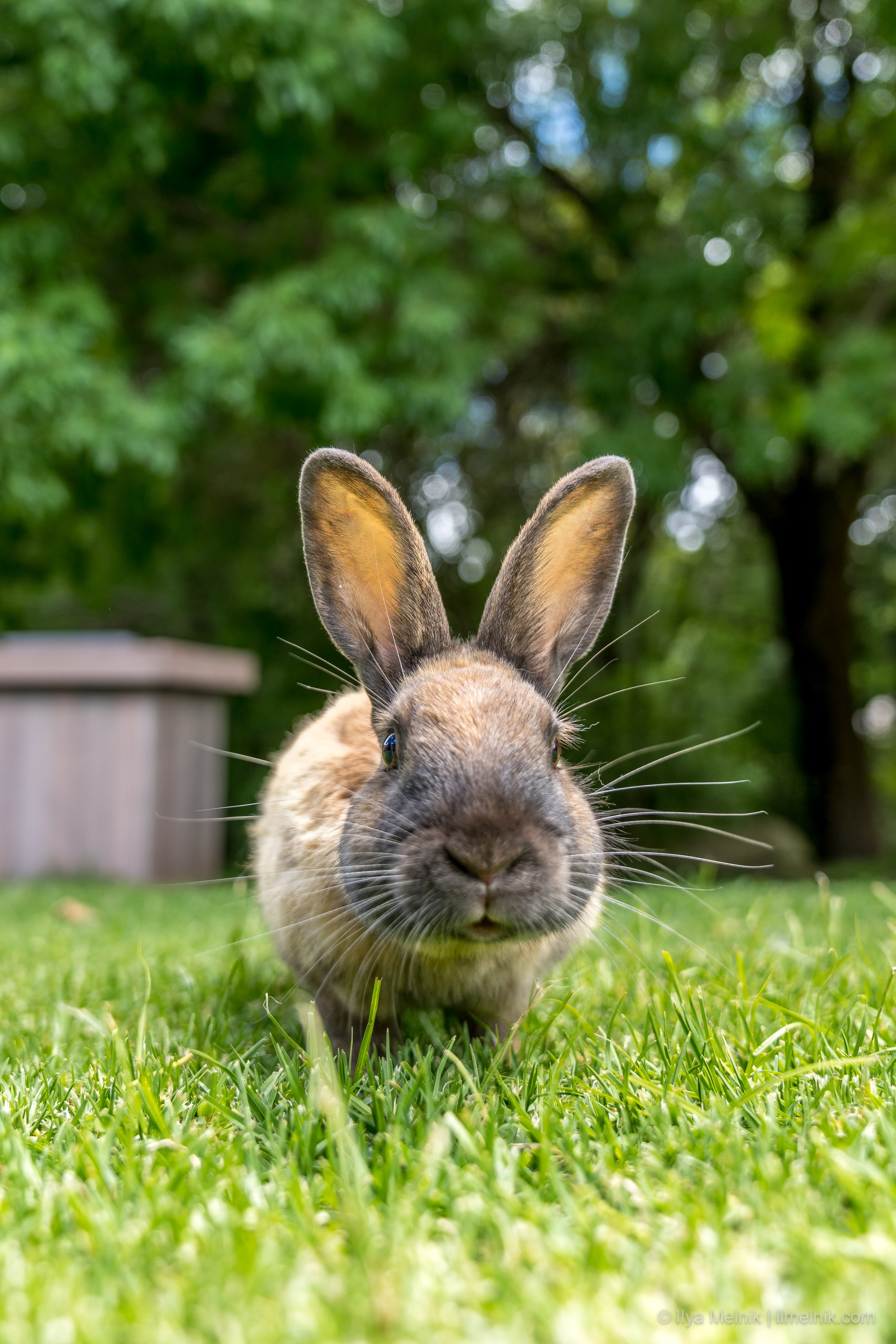 South Aftrica. Ilya Melnik Photography