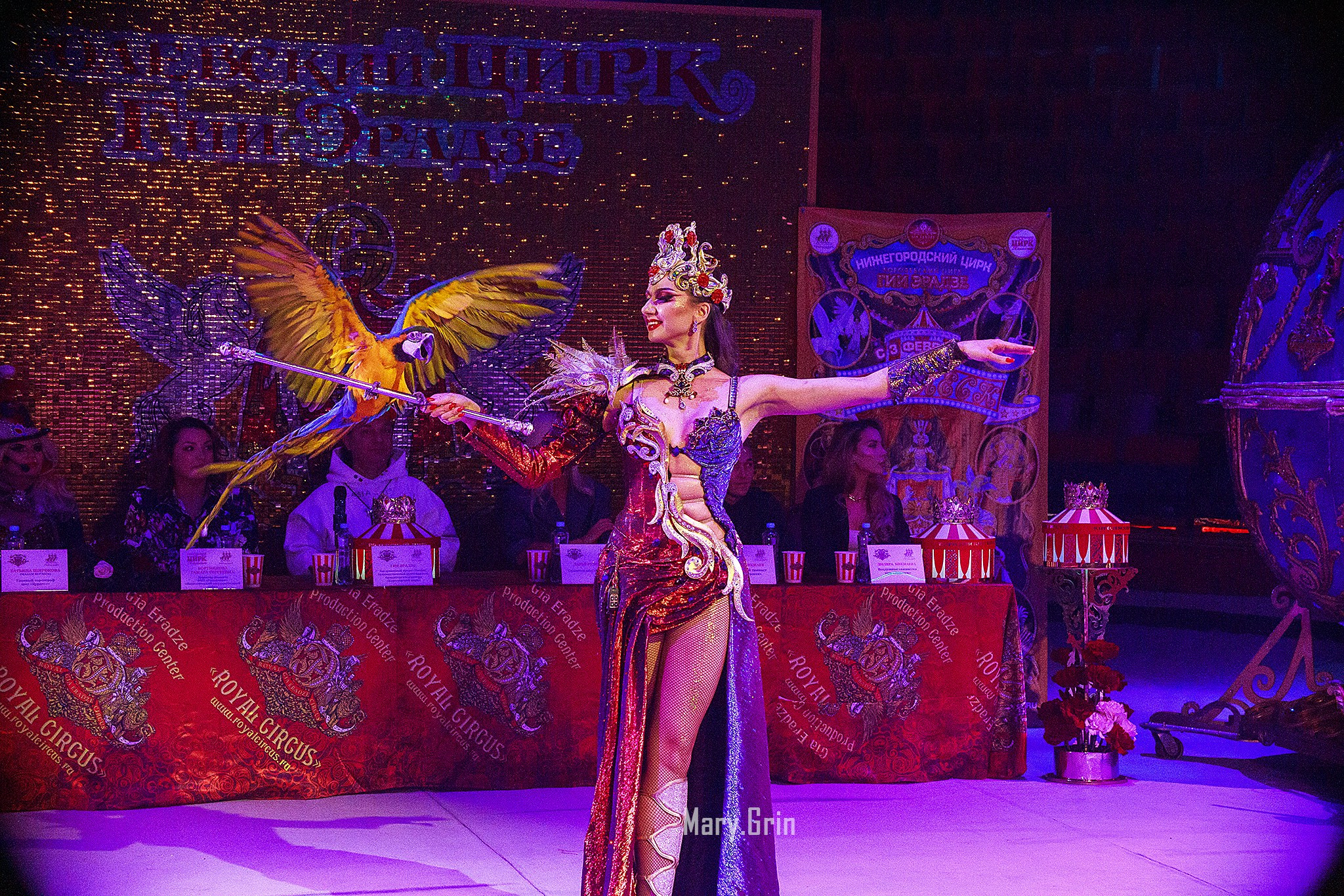 Цирк Гии Эрадзе. Детский и семейный фотограф, фотограф мероприятий Нижний Новгород