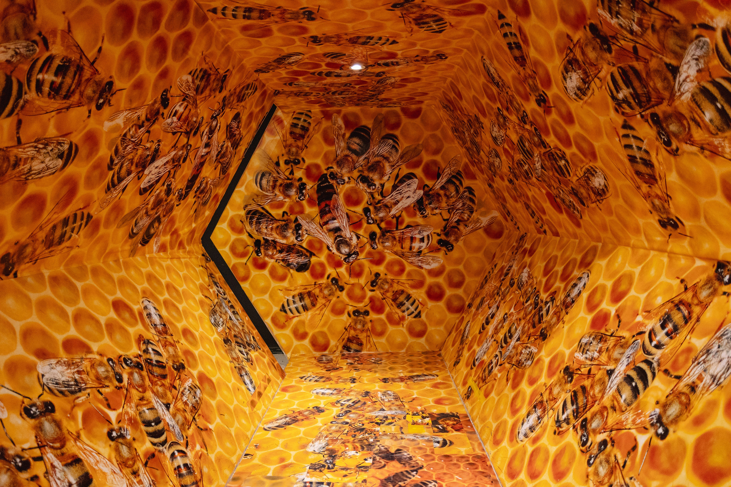 Bangkok Planetarium. Photographer Sonkina Tatiana (Tanya Ash)