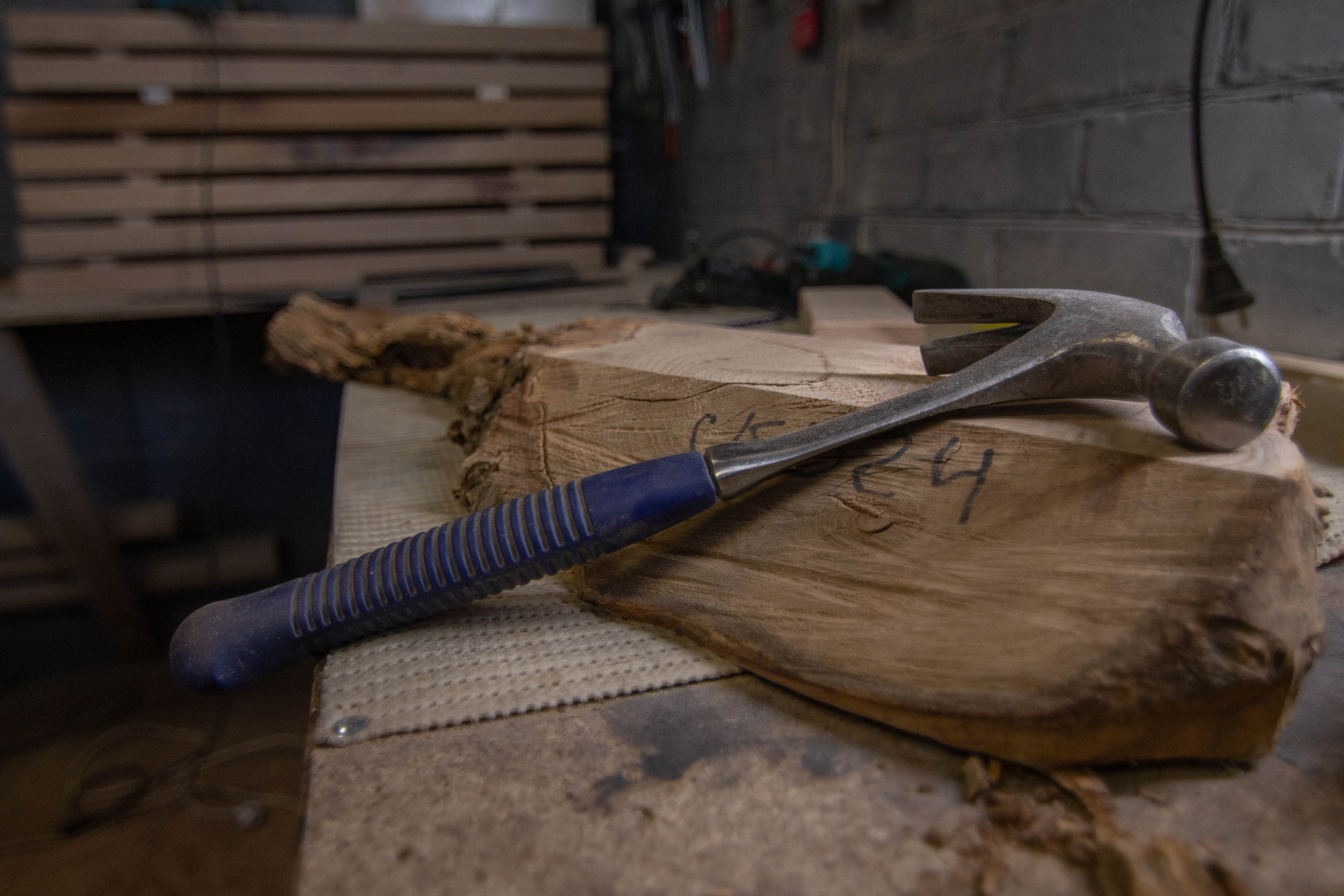 Александр Вилюга (Столяр). Фотограф в Чите Анна Осадчая