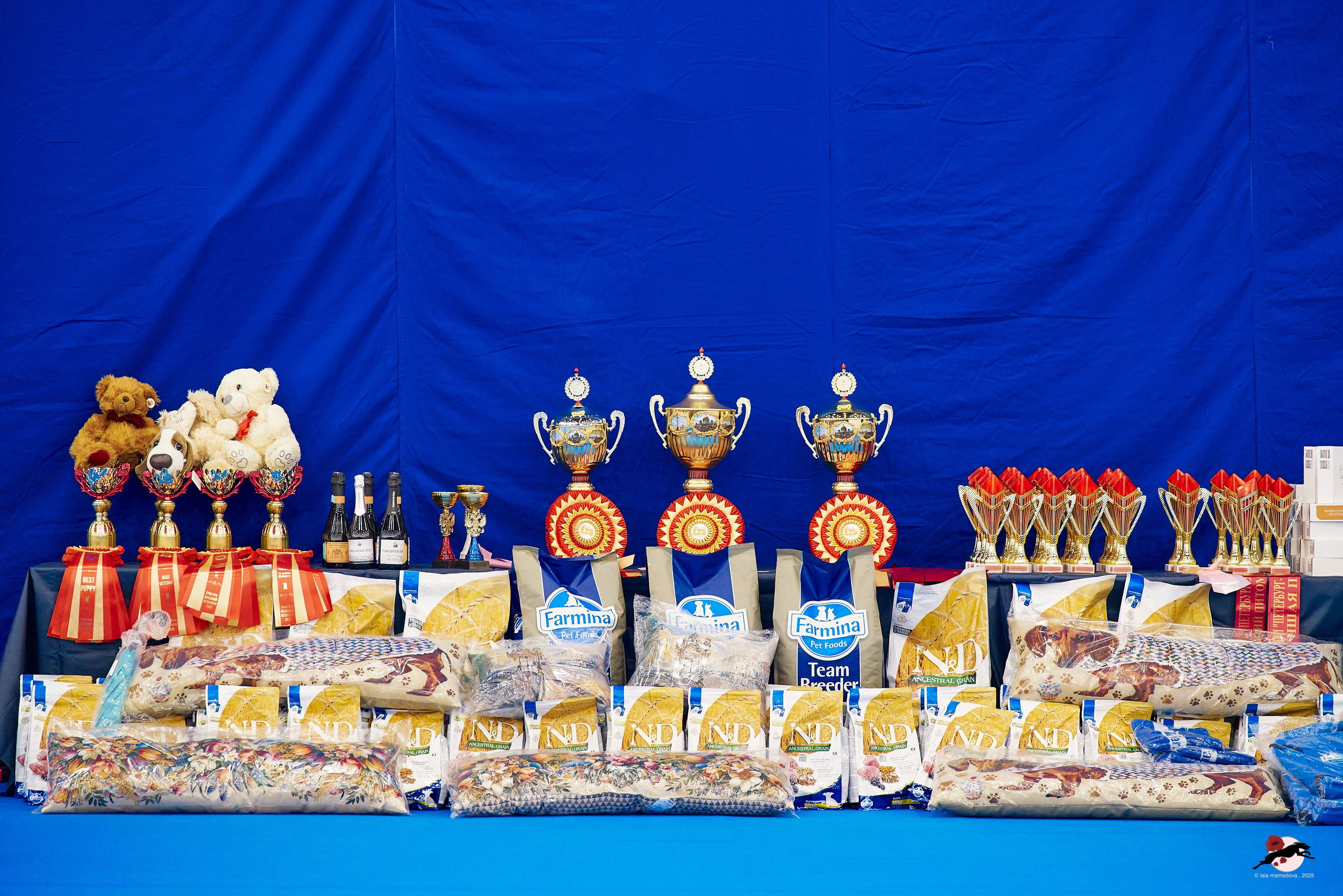 27.04.2025 | "Петербург-Элита 2025" & «КУБОК «ЭЛИТЫ»-2025»