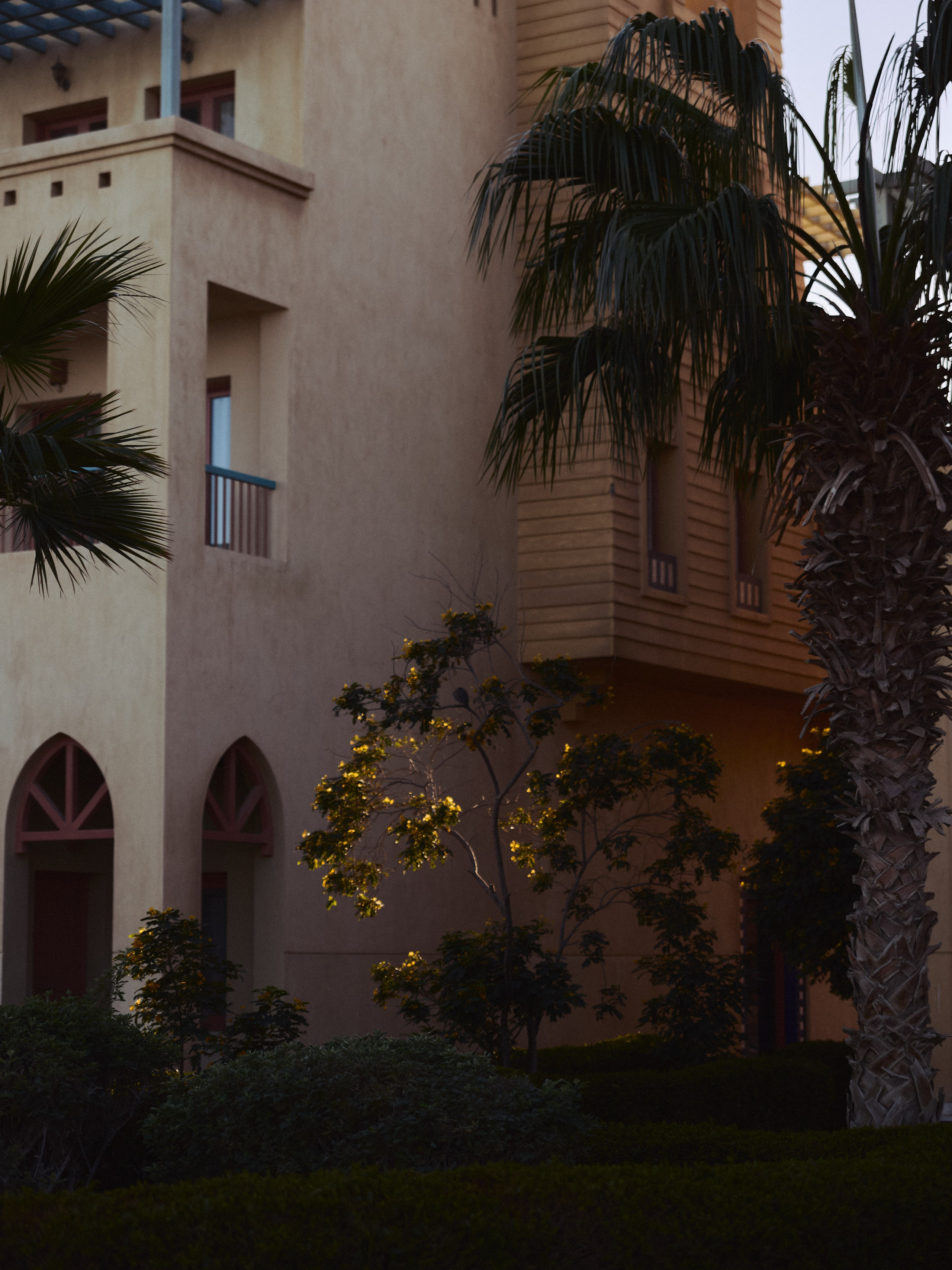 Природа сквозь. Jorgis Talè — photographer, kind person, teacher of arts and other mag