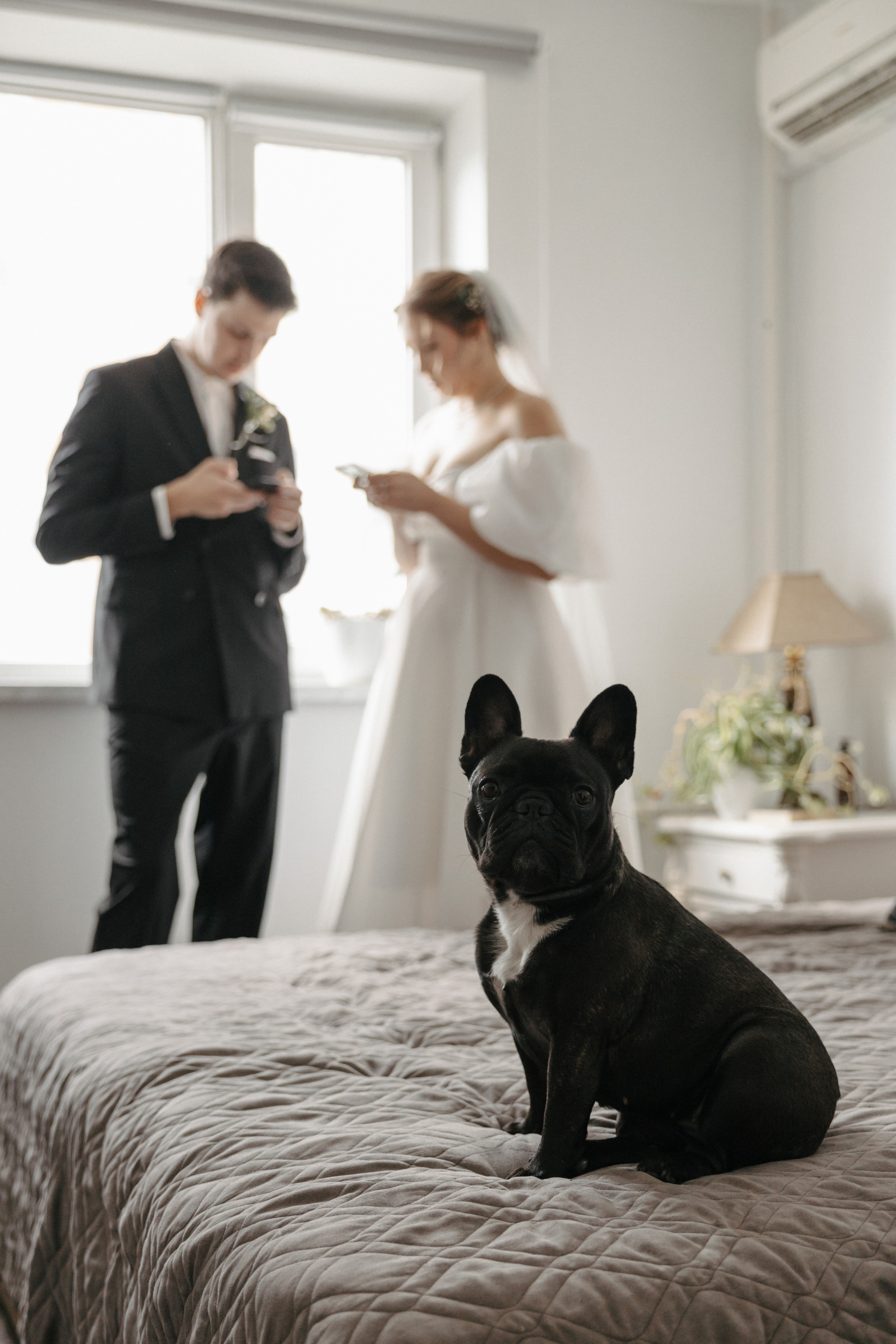 Анонс со свадьбы Аси Макса. Свадебный фотограф Москва и другие города