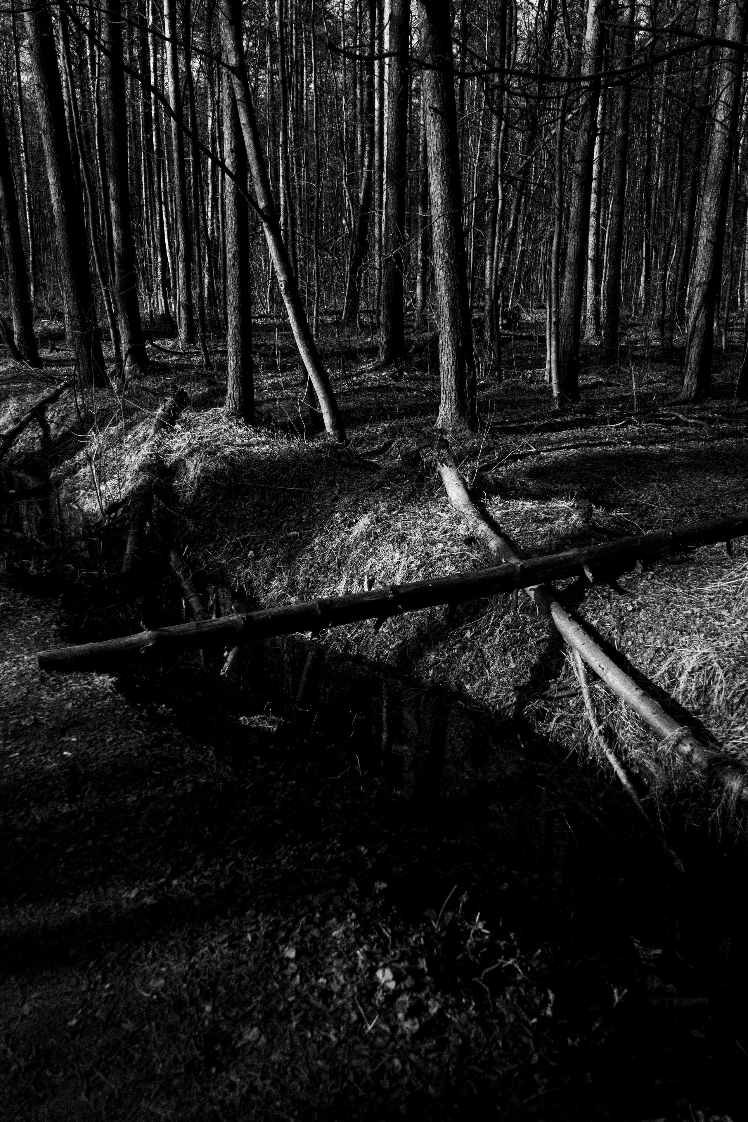 Стрит — фотография в Санкт-Петербурге. Портретный фотограф в Санкт-Петербурге Дори Милиева