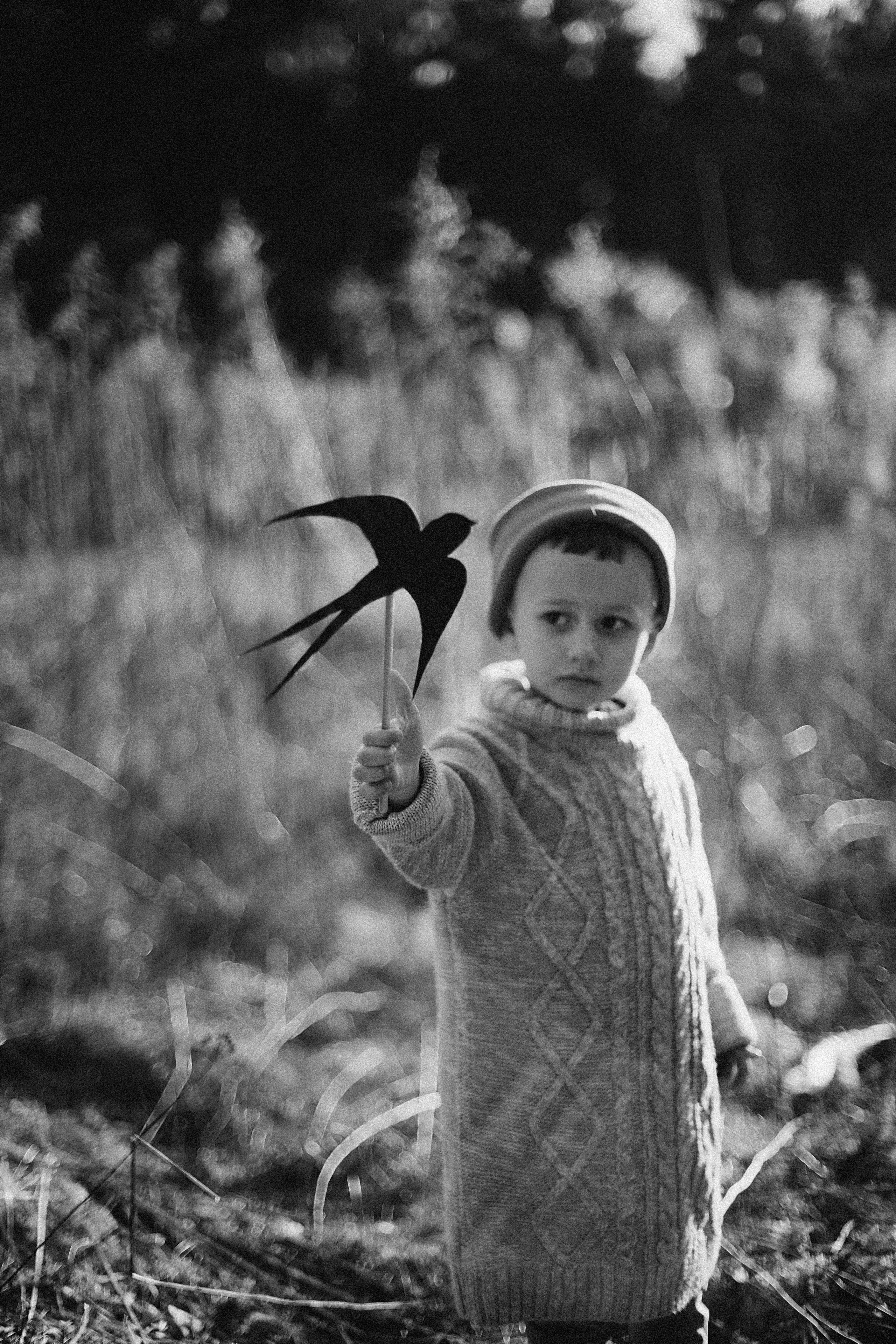 Птицы-самолеты. Репортажный и детский фотограф в Минске