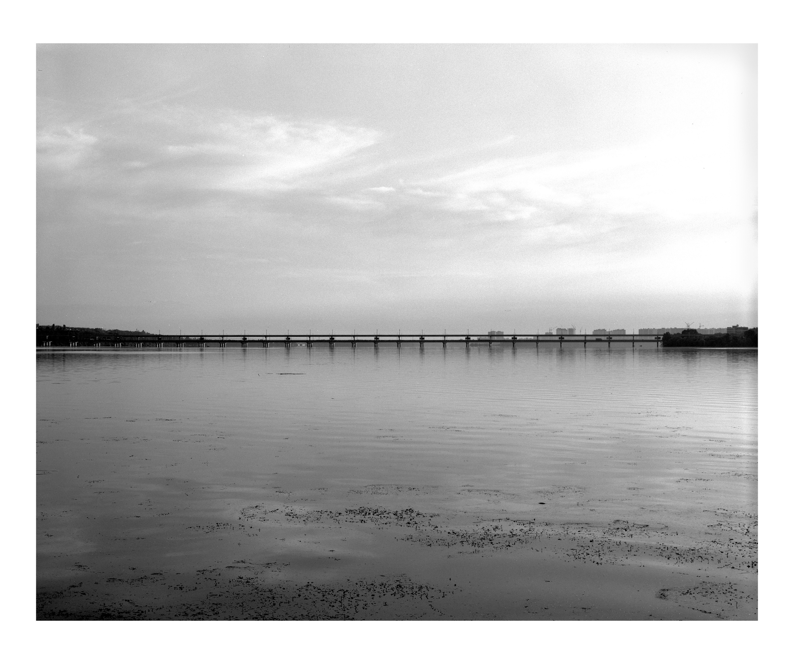 Latest \ Work in progress. Dima Voronetsky