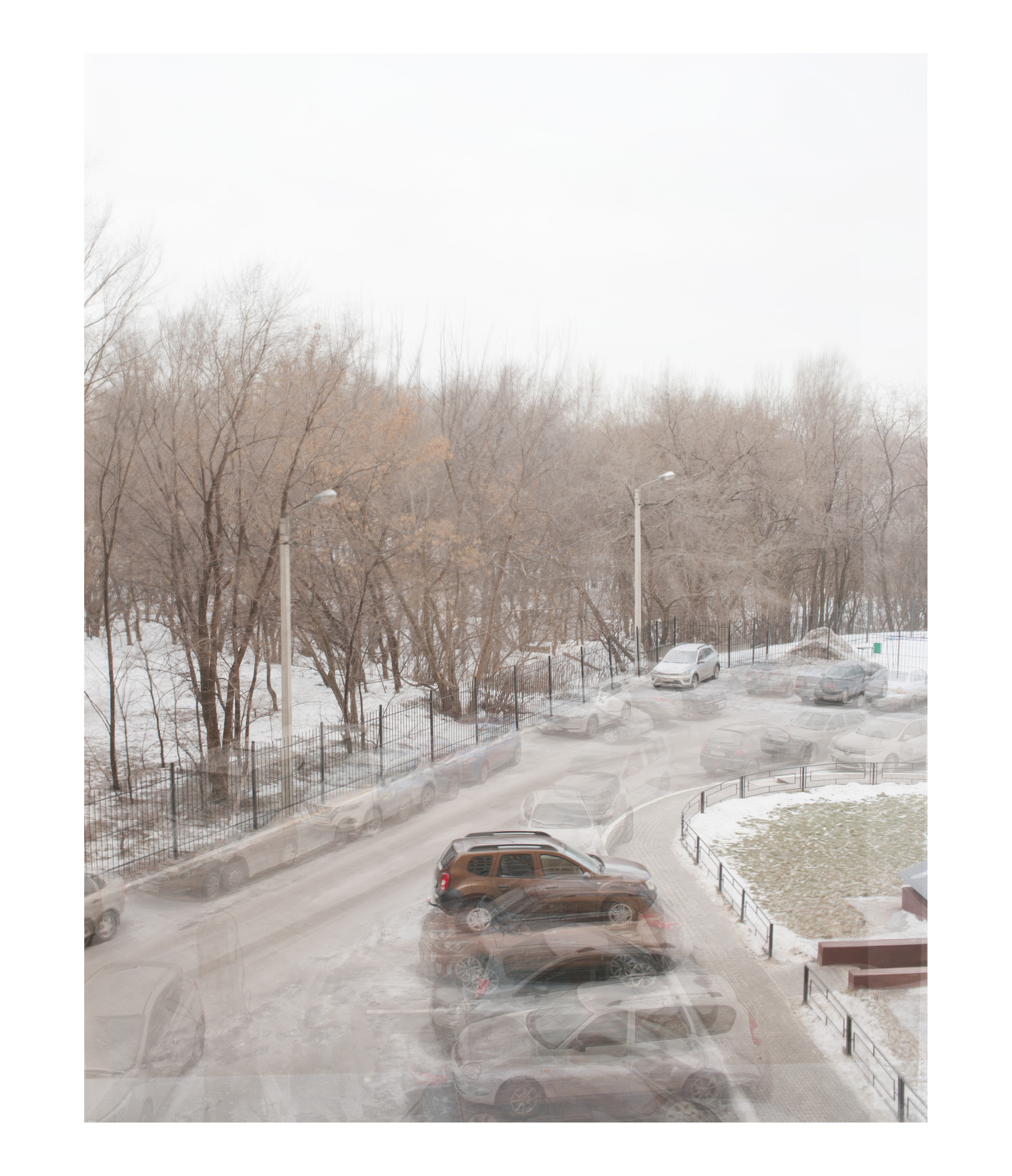 Covid 2021. Dima Voronetsky