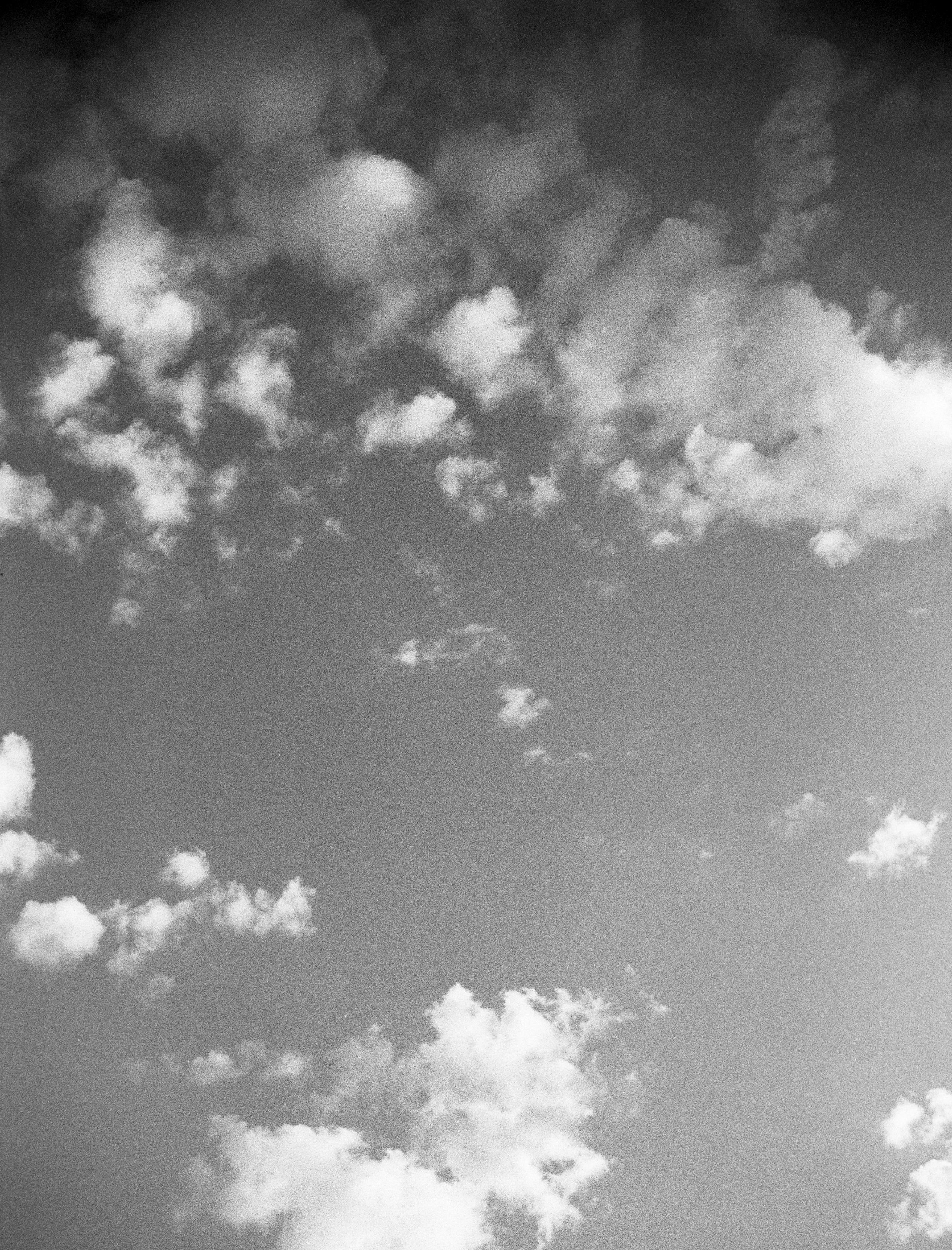 Latest \ Work in progress. Dima Voronetsky