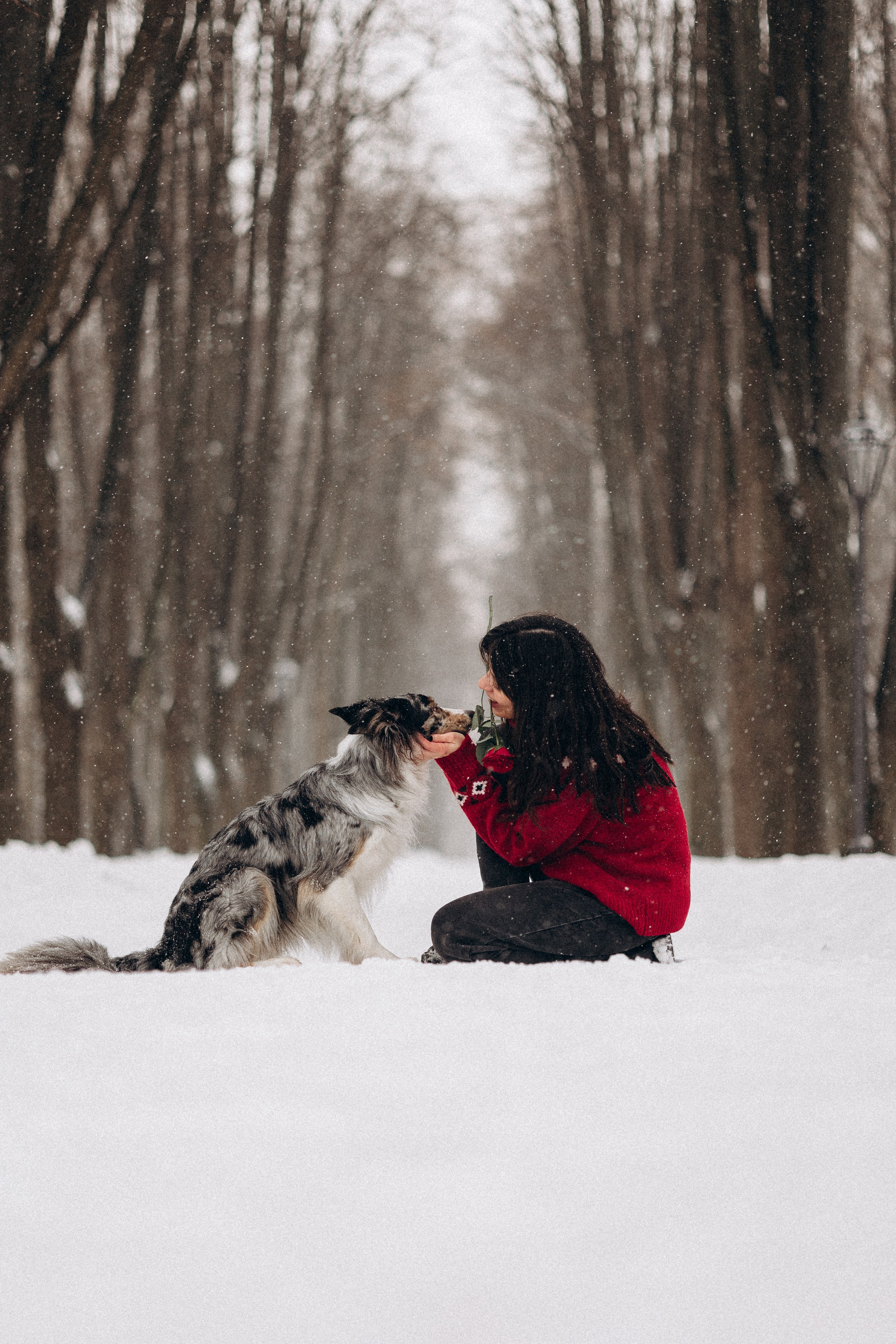 Настя и Тор. Фотораф — анималист Мария Шистка