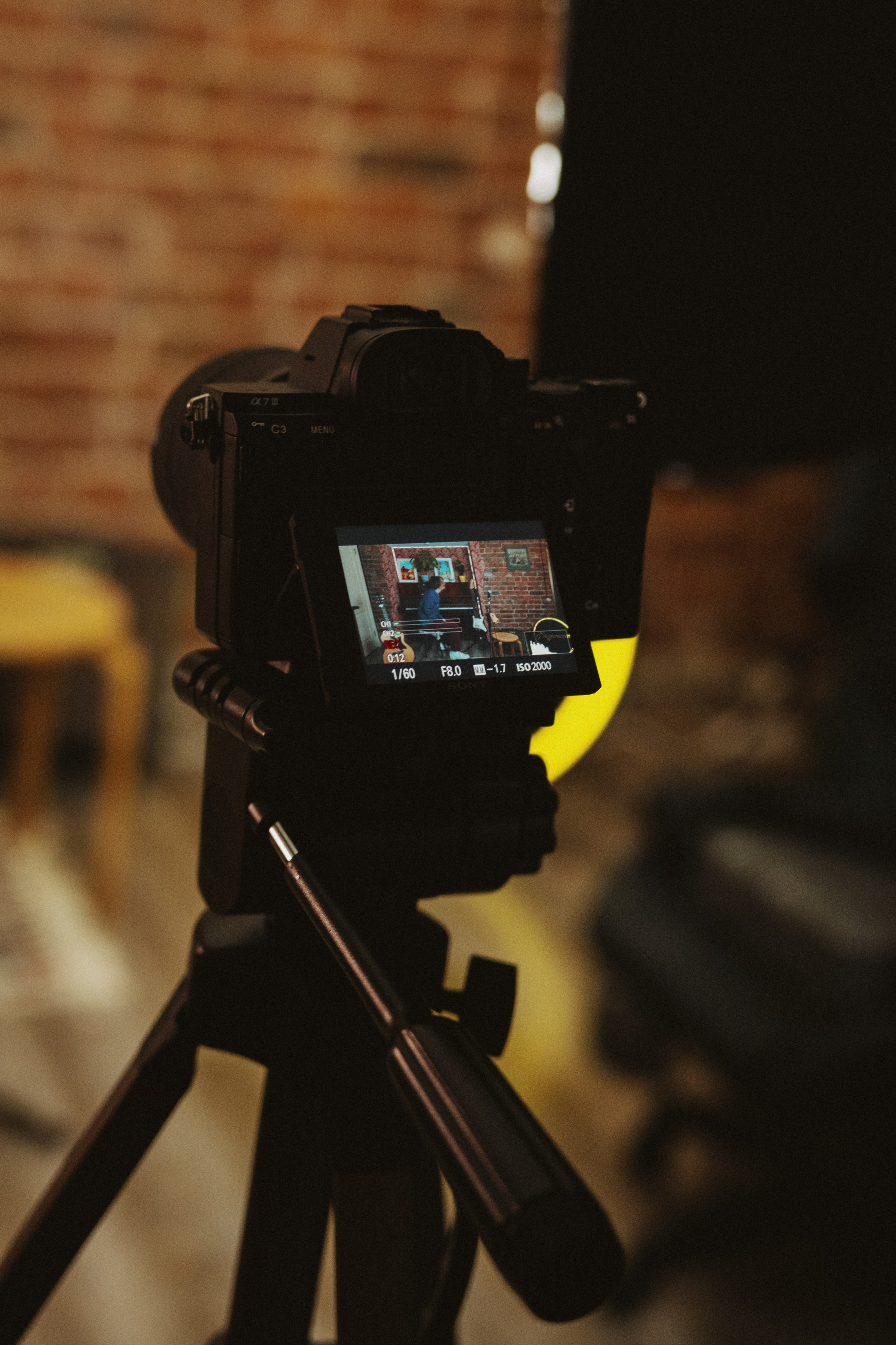 PLAYONAZM. Фотограф в Санкт-Петербурге Федосова Елизавета