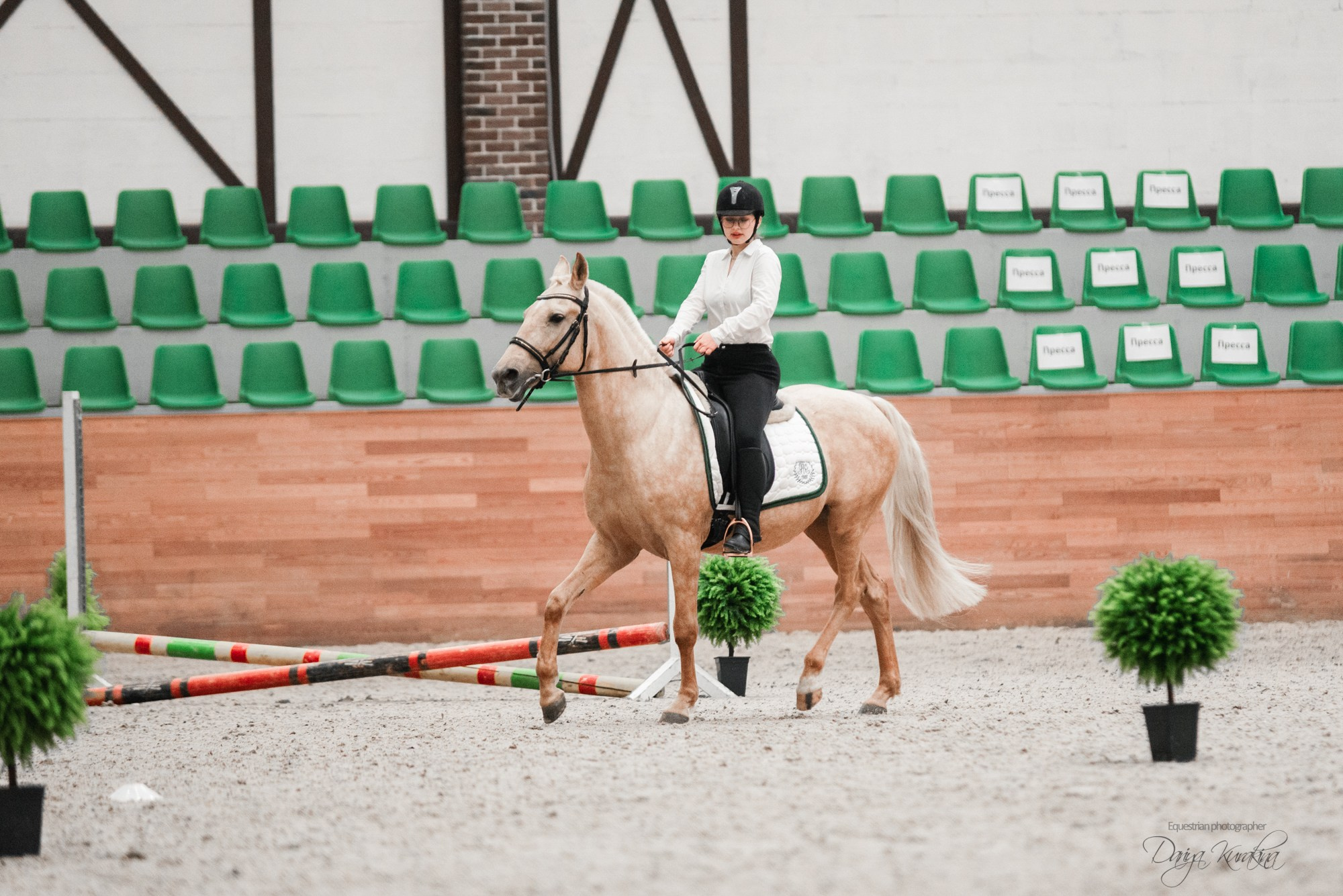 8-я международная выставка Конная Россия. Конный фотограф Куракина Дарья • Фотосессии с лошадьми