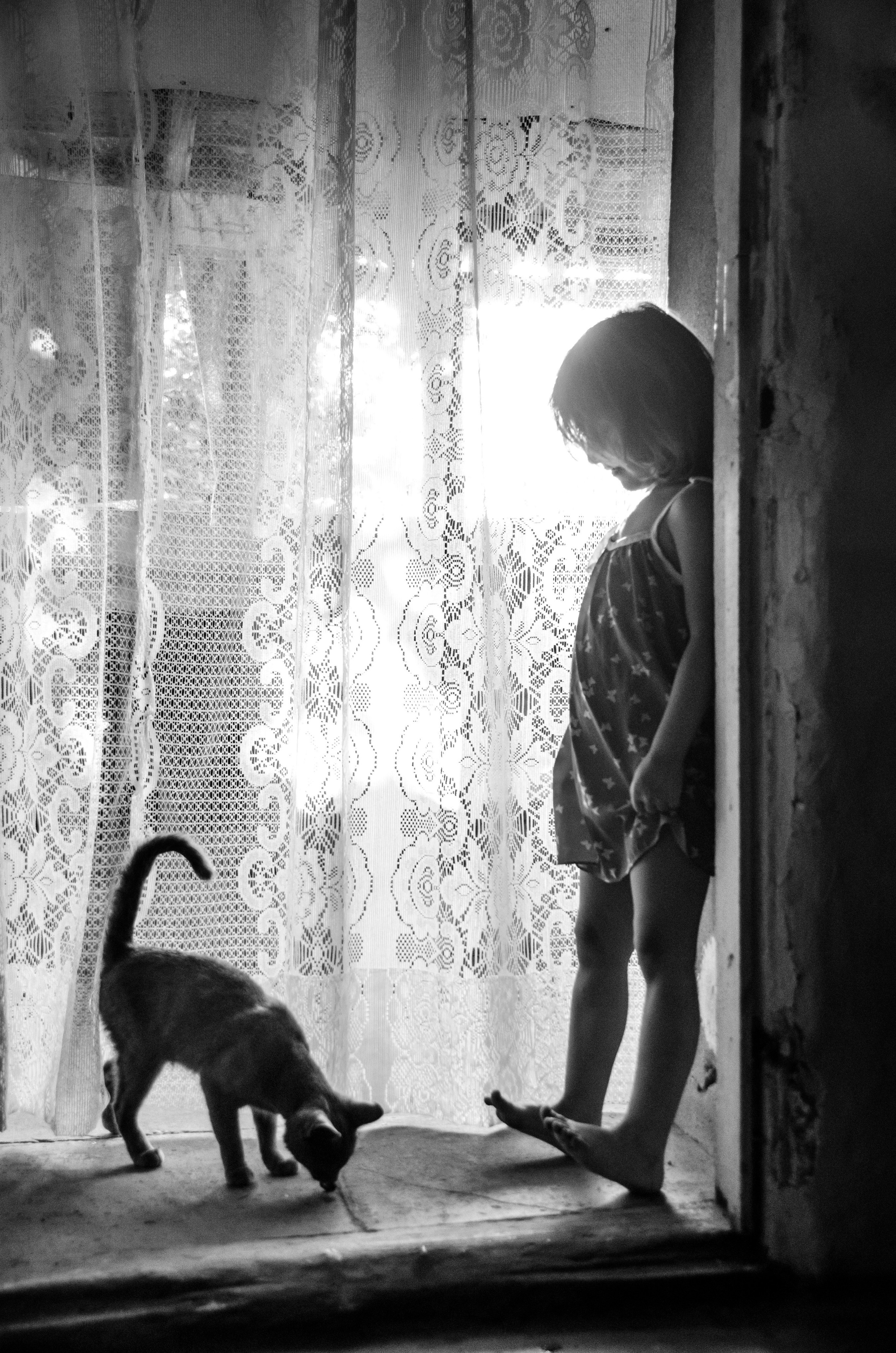 Серии «Кошка». Мультижанровый фотограф Дарья Strebog