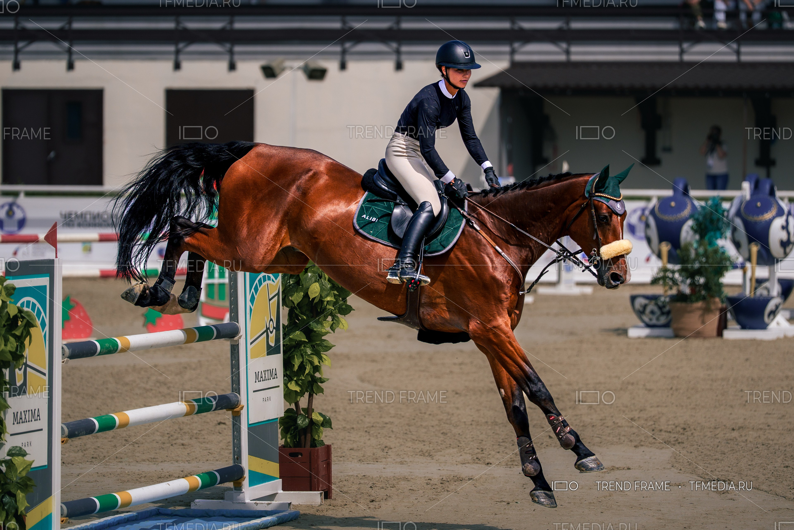 Евразийские Игры 2025 (17 июля 2025), Maxima Park. Работа всадника и лошади: школа конного спорта. Репортажная съёмка, базовая коррекция. TrendFrame.