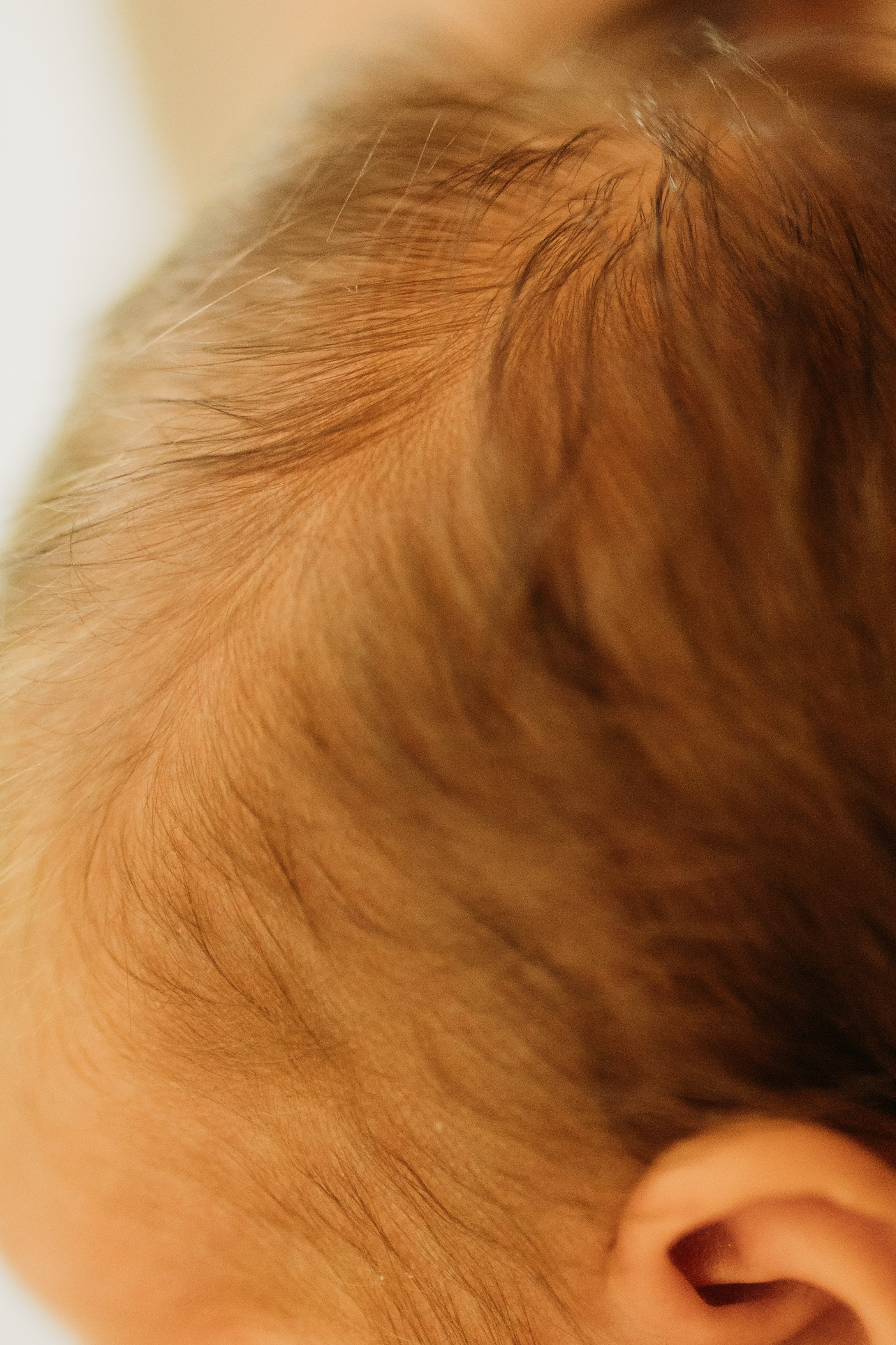 Маленькая Вера. Семейный фотограф Москва Наталия Осьмакова