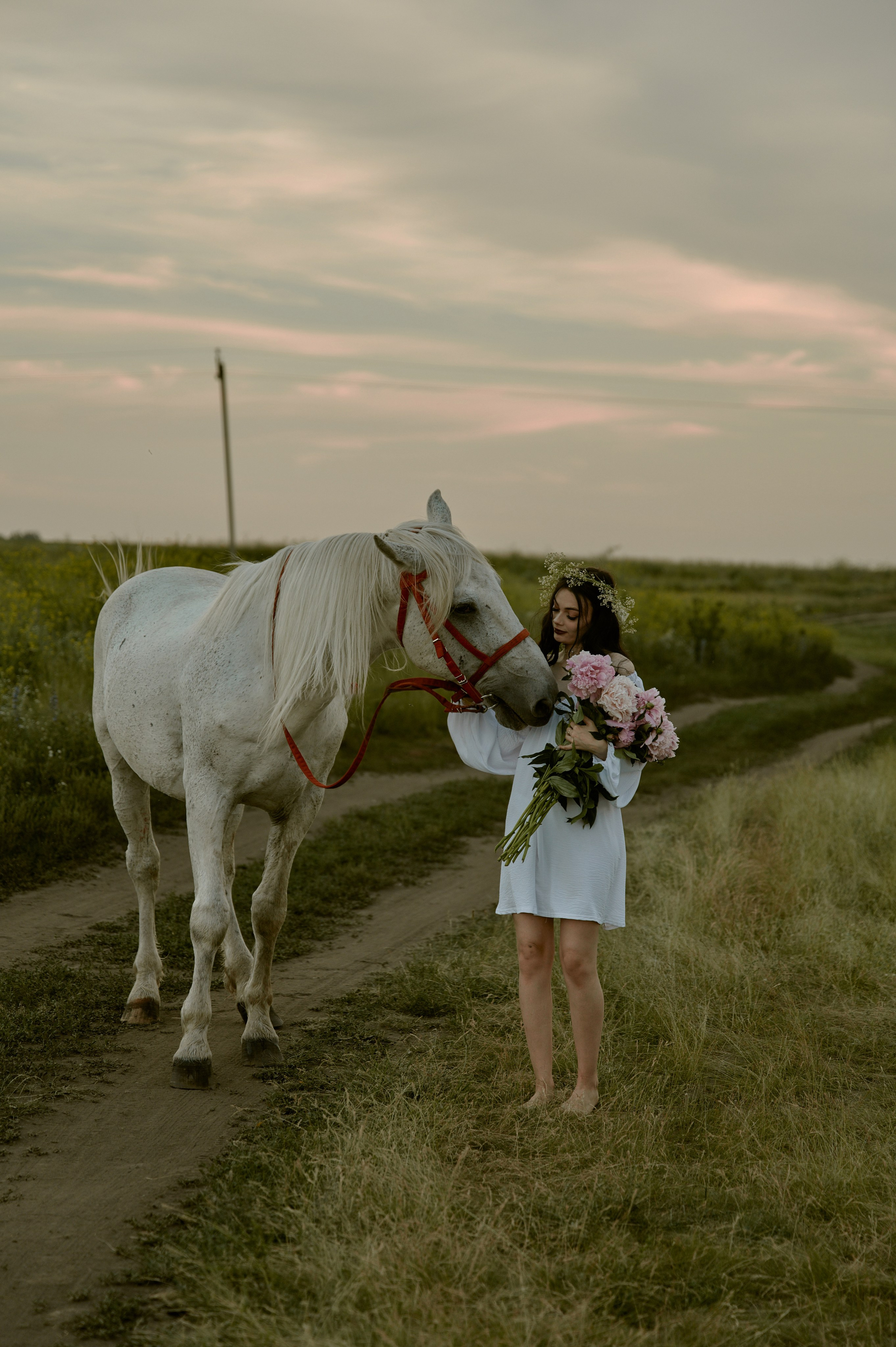 Лина и Гром. Фотограф Челябинск — Кирилл Устюжанин