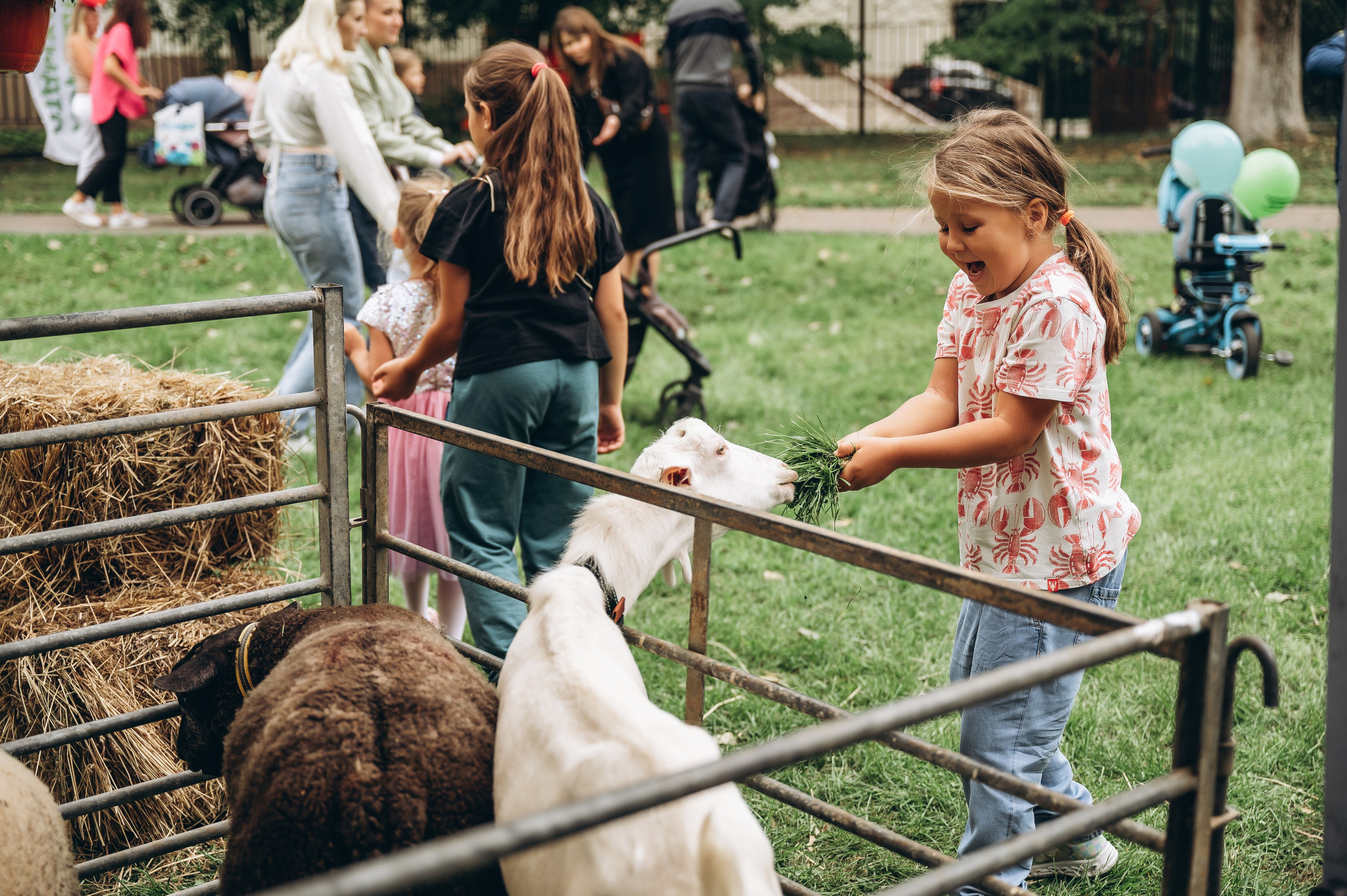 День города 2023. Фотограф Илья Солдаткин