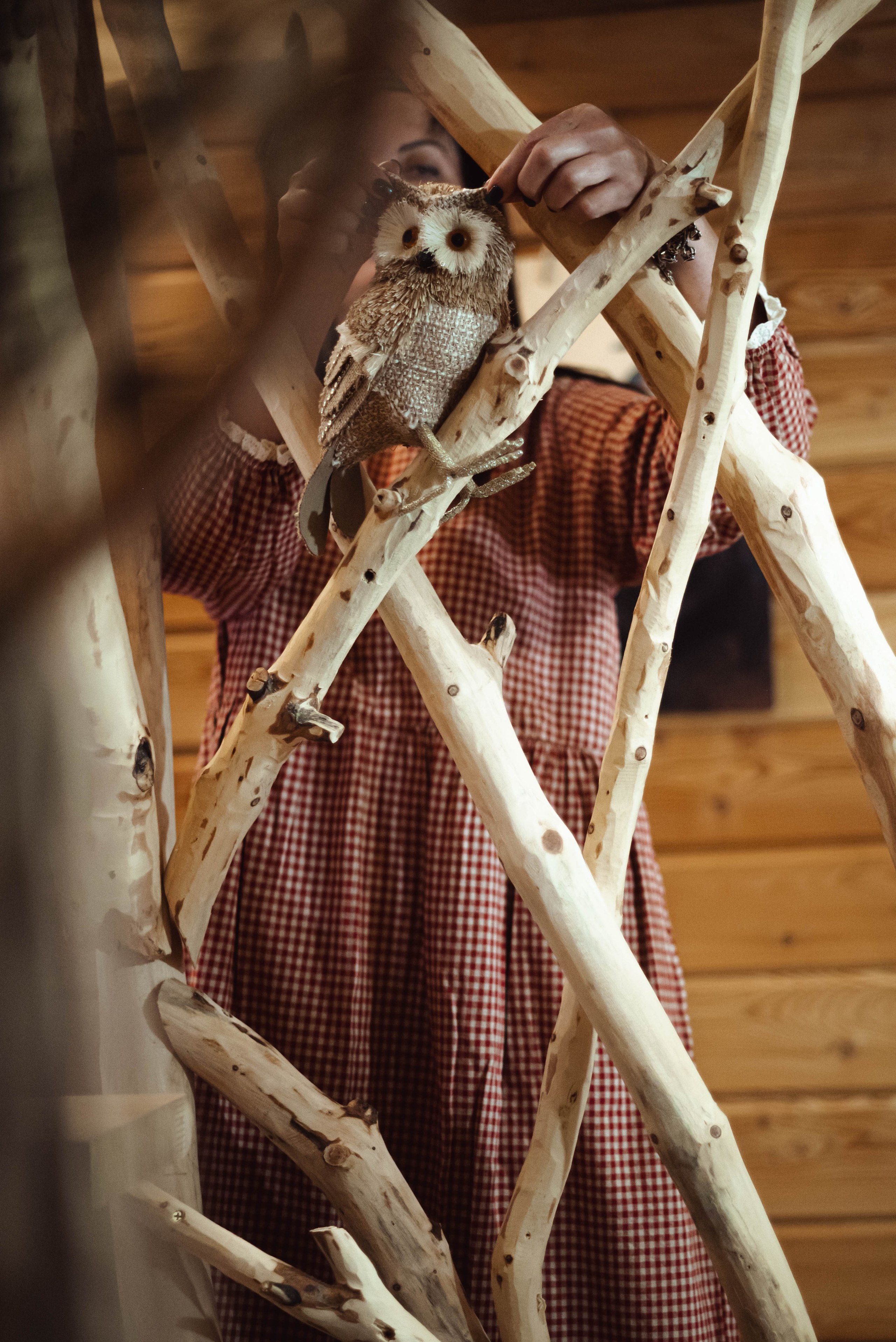 Лесное царство Оксаны. Свадебный и семейный фотограф в Новосибирске, Санкт-Петербурге, Москве