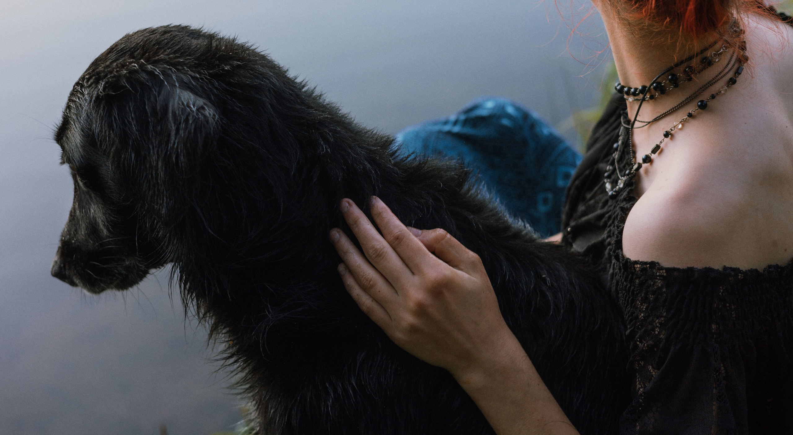 Лиза и Коди. Фотограф-анималист Богданова Полина