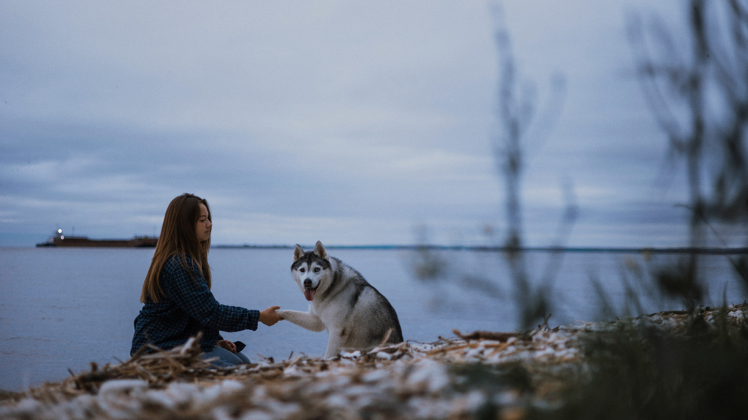 Аделя, Вандер, Шайна и Бая. Фотограф-анималист Богданова Полина