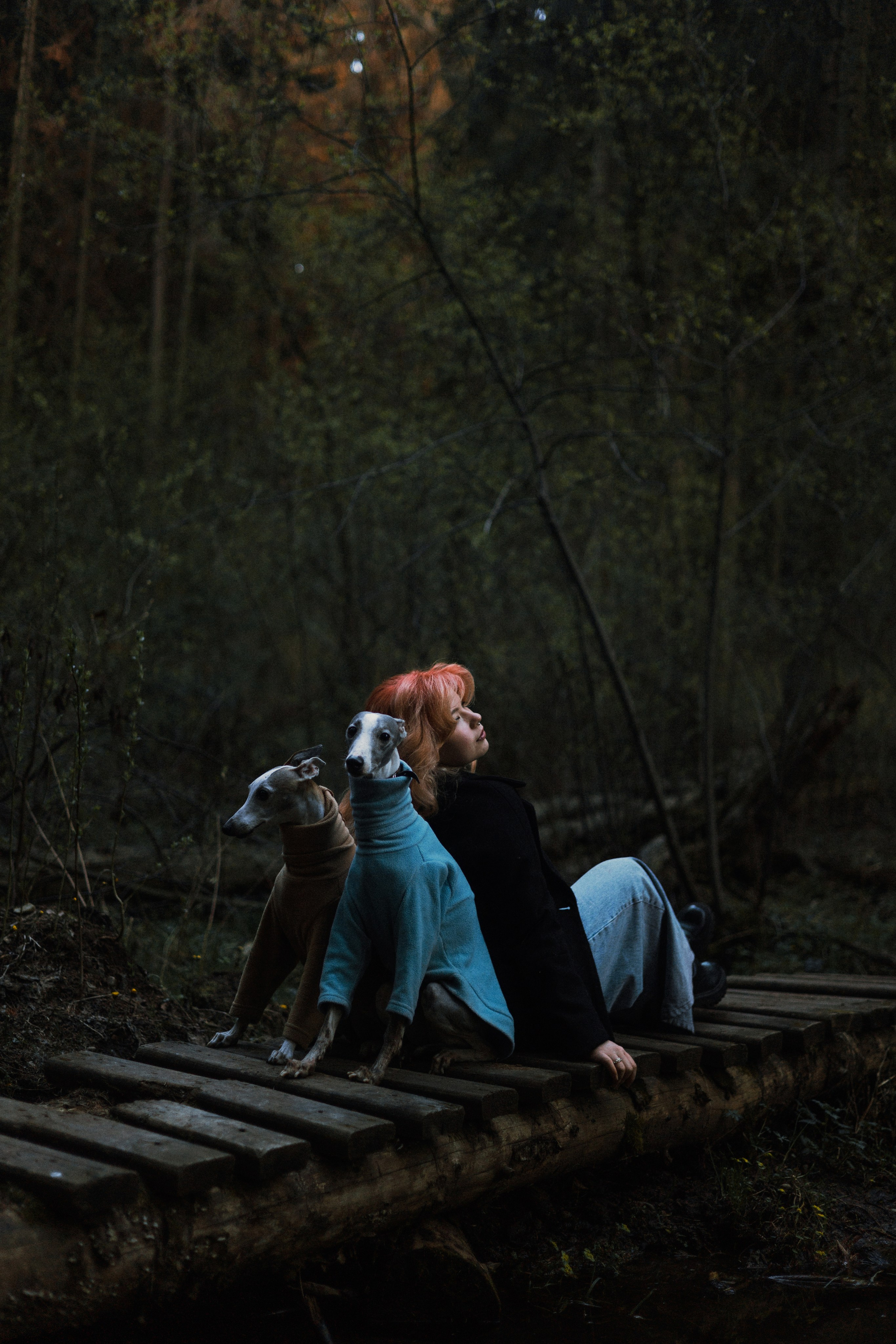 Вика, Джем и Белла. Фотограф-анималист Богданова Полина