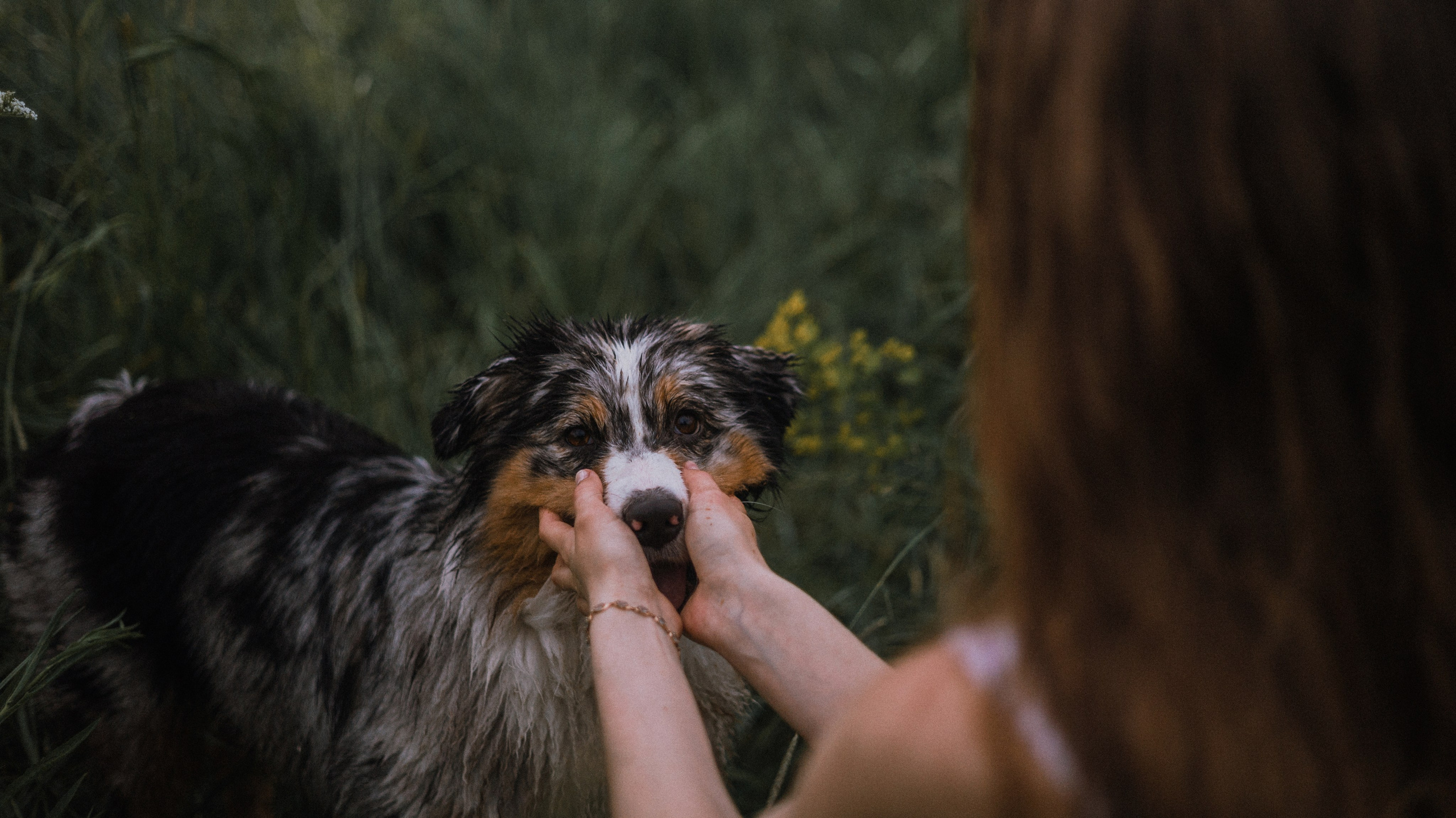 Маша и Долли. Фотограф-анималист Богданова Полина