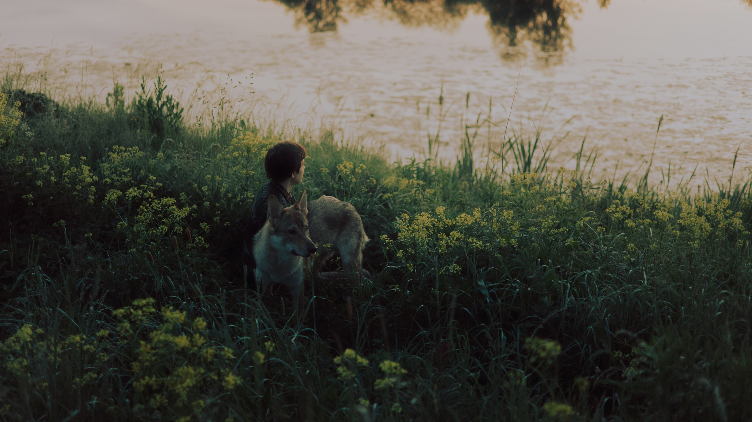 Маша и Дэрил. Фотограф-анималист Богданова Полина