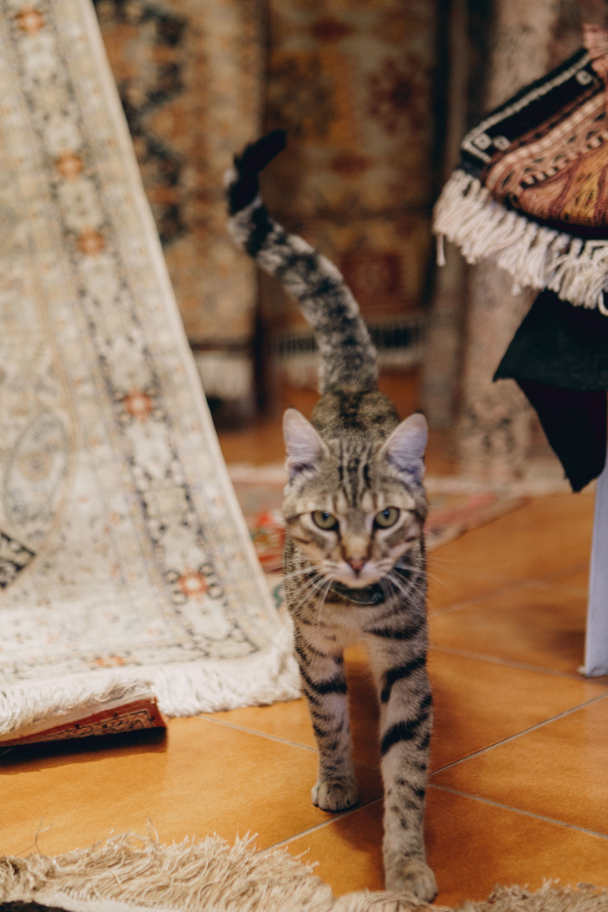 Сувенирная лавка. Фотограф Анастасия Кулешова