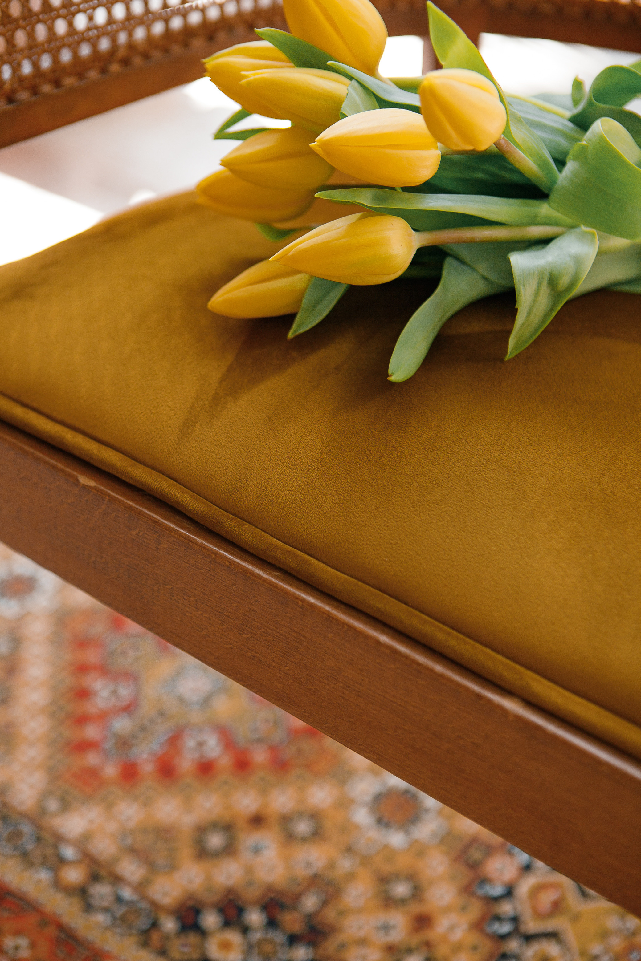 Эд Мацаберидзе. Фотограф Анастасия Кулешова