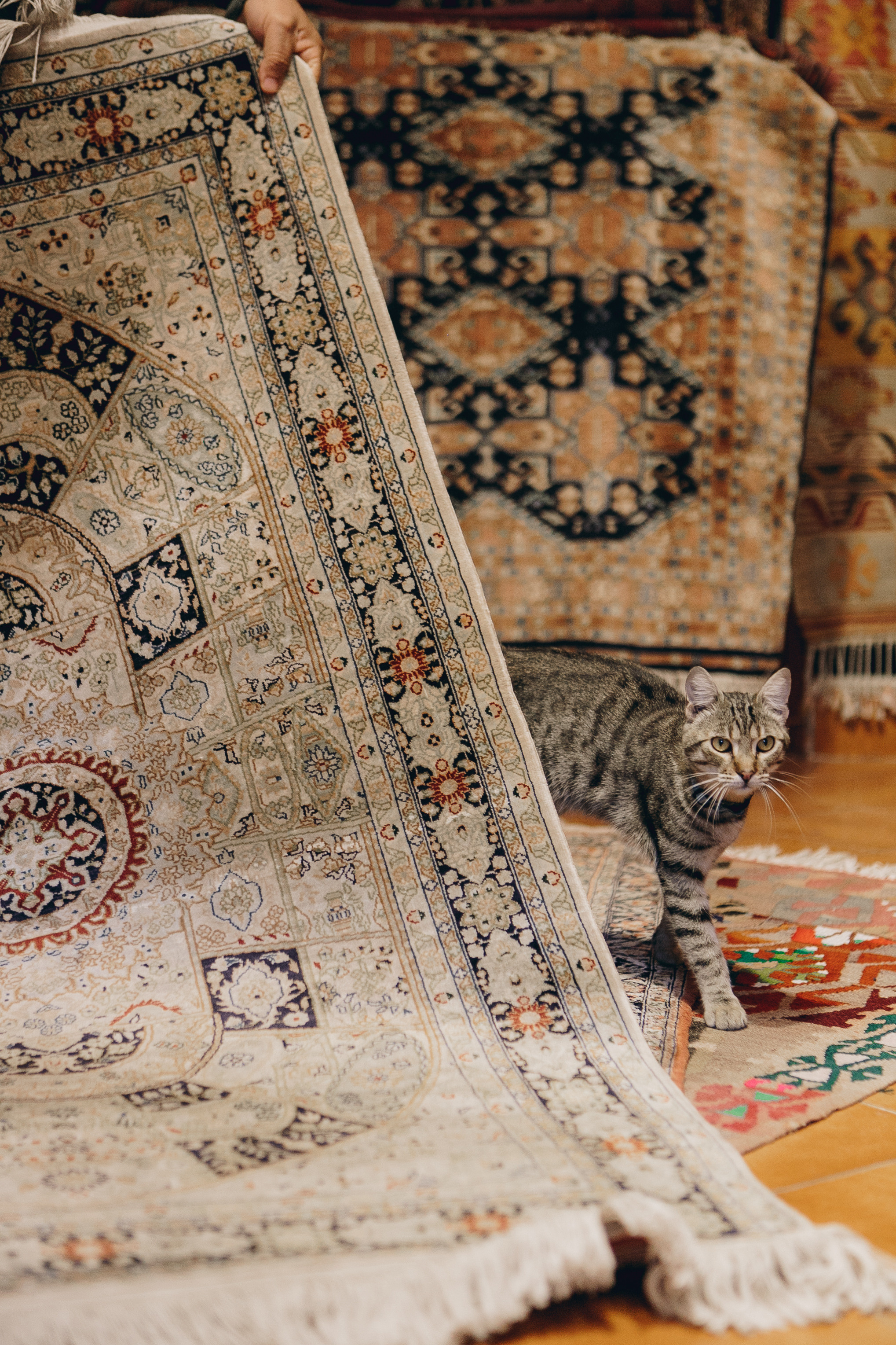 Сувенирная лавка. Фотограф Анастасия Кулешова