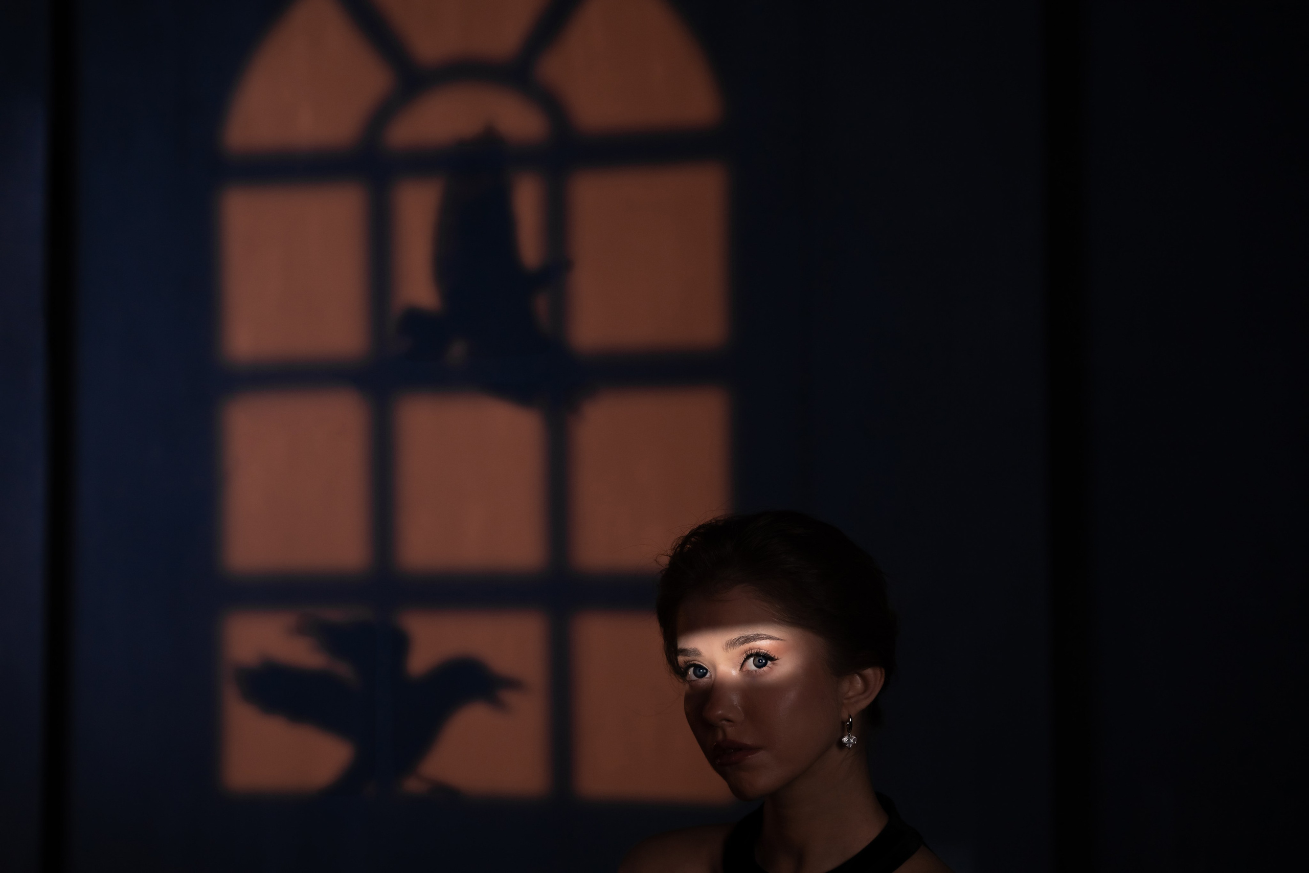 Анастасия (оммаж «Птицы»). Главная