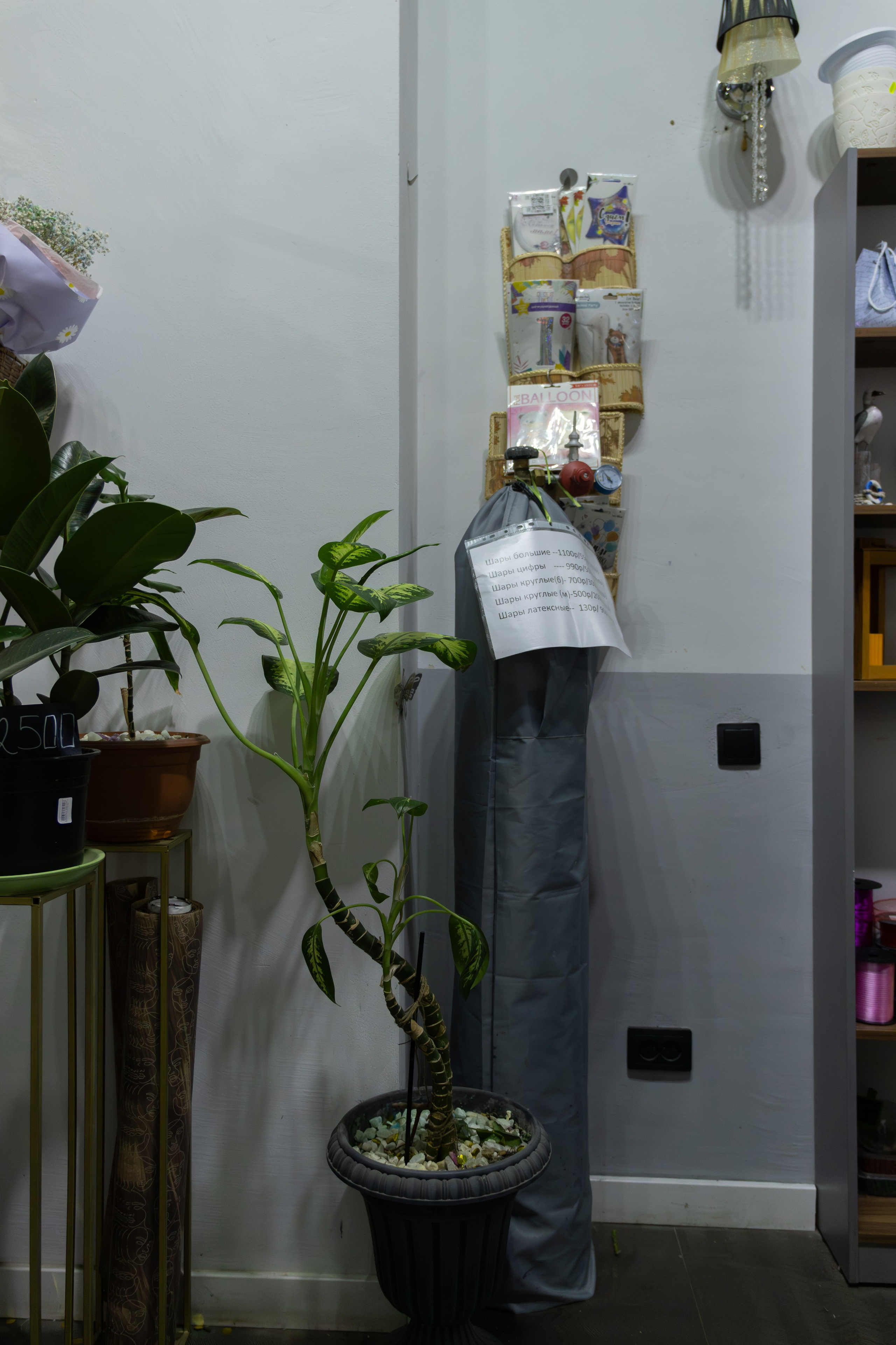 Цветочный магазин. Photo-nk