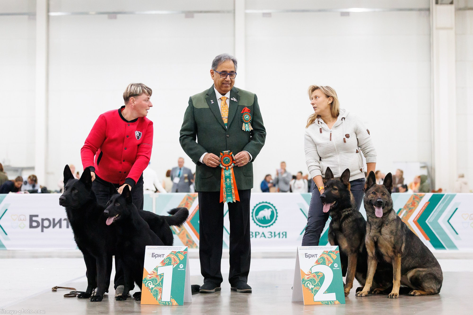 «Евразия-2025»: картинки с выставки. Фотограф собак, фотограф-анималист Аня Титова (Titanya). Москва