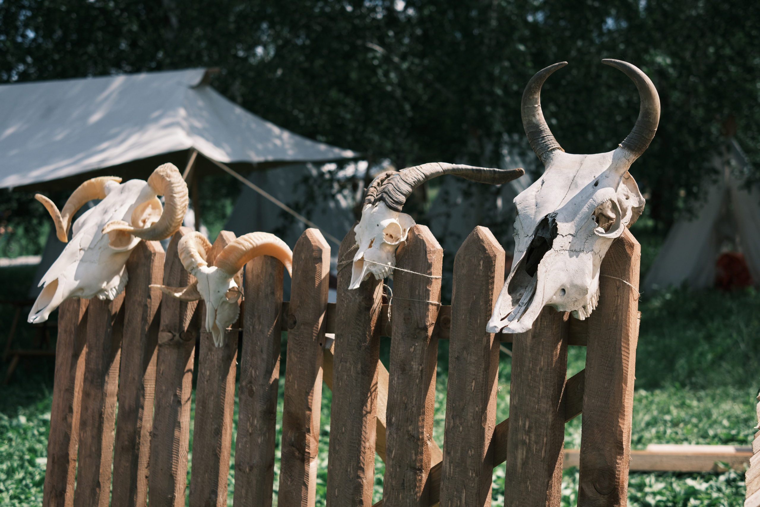 Земля Легенд: Солнце и медведь | Фест |. IS — Игорь Сержант | Фотография и рисунок