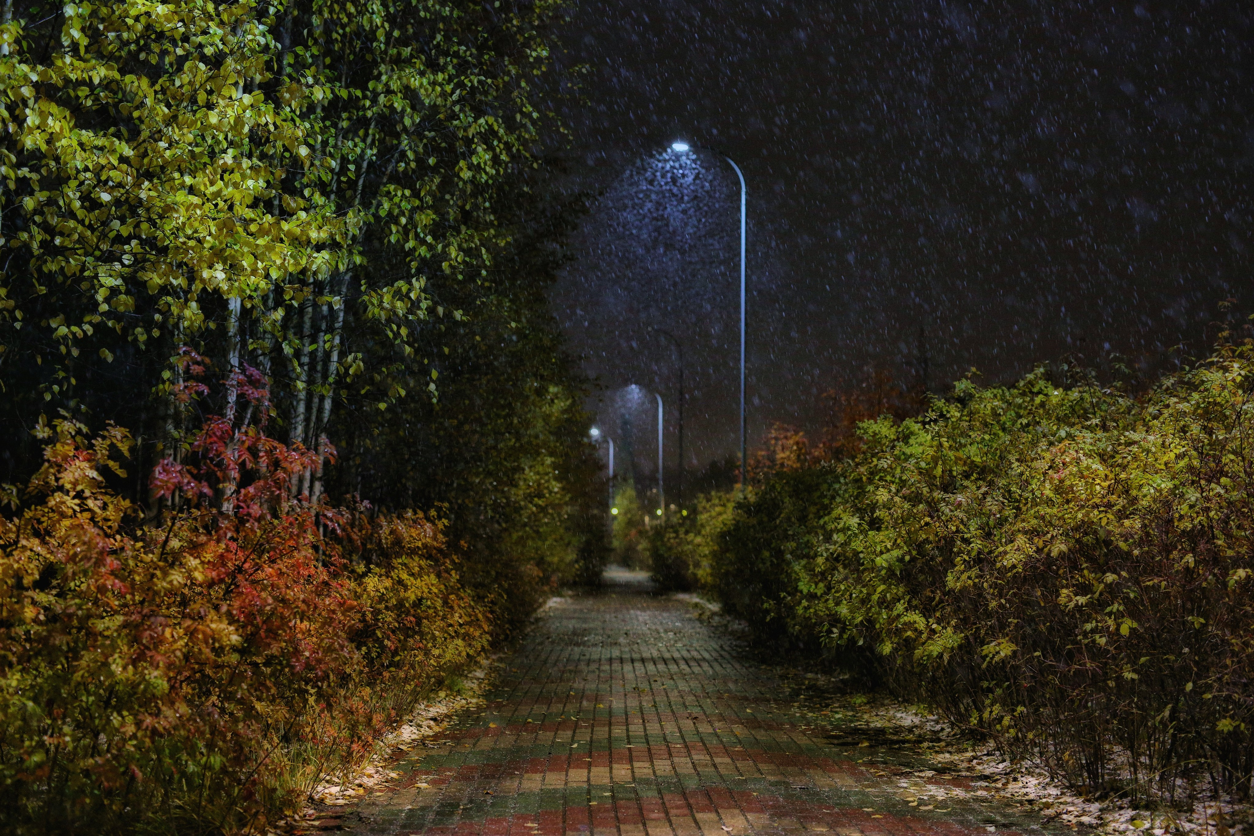 Сургут. Фотограф в г. Сургуте Марина Киприна