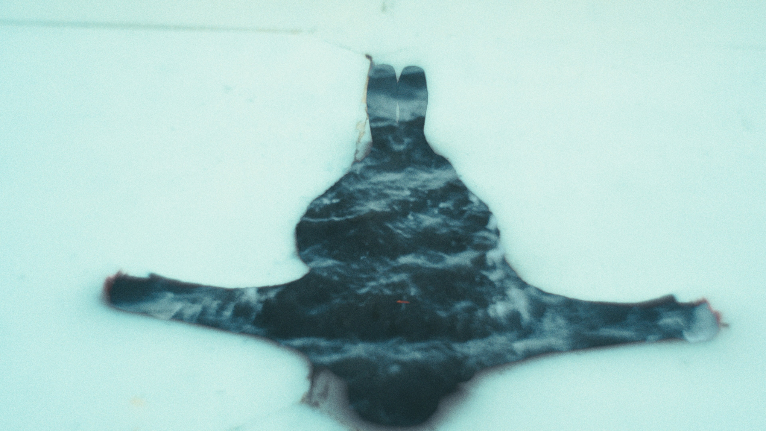 Andrew Sozonov visual artist