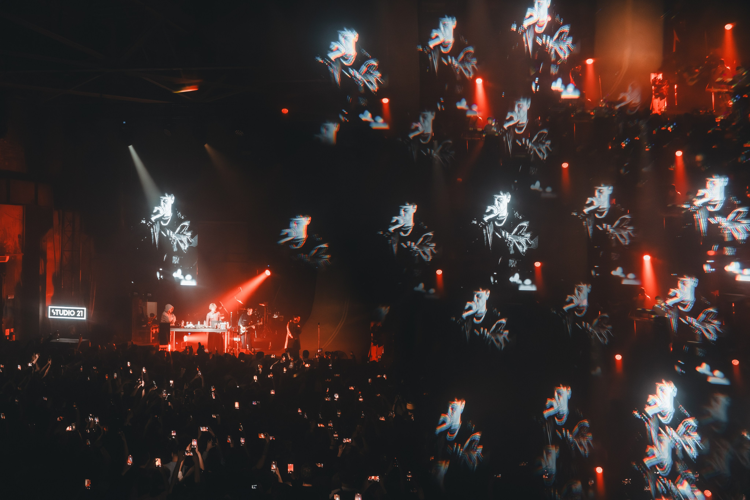 SALUKI. Фотограф Санкт-Петербурга