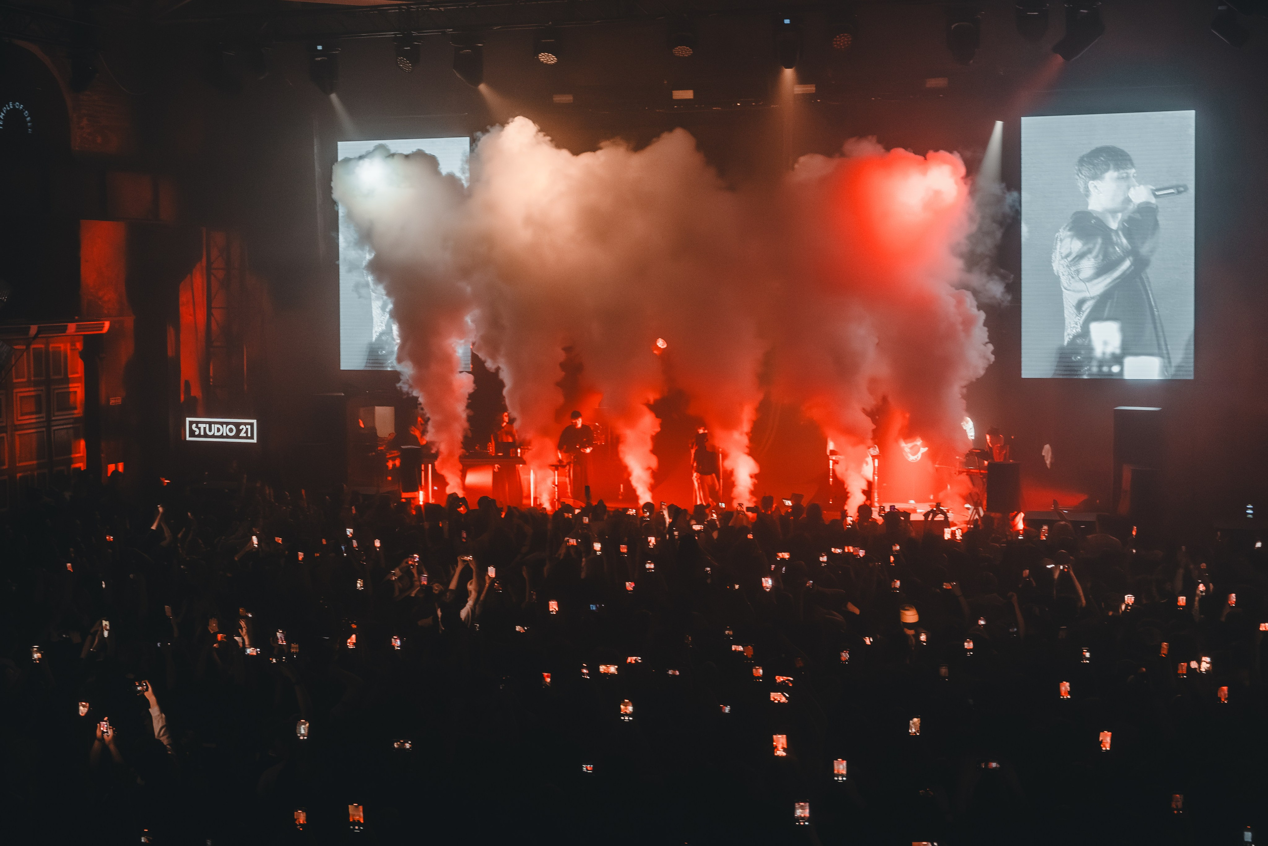 SALUKI. Фотограф Санкт-Петербурга