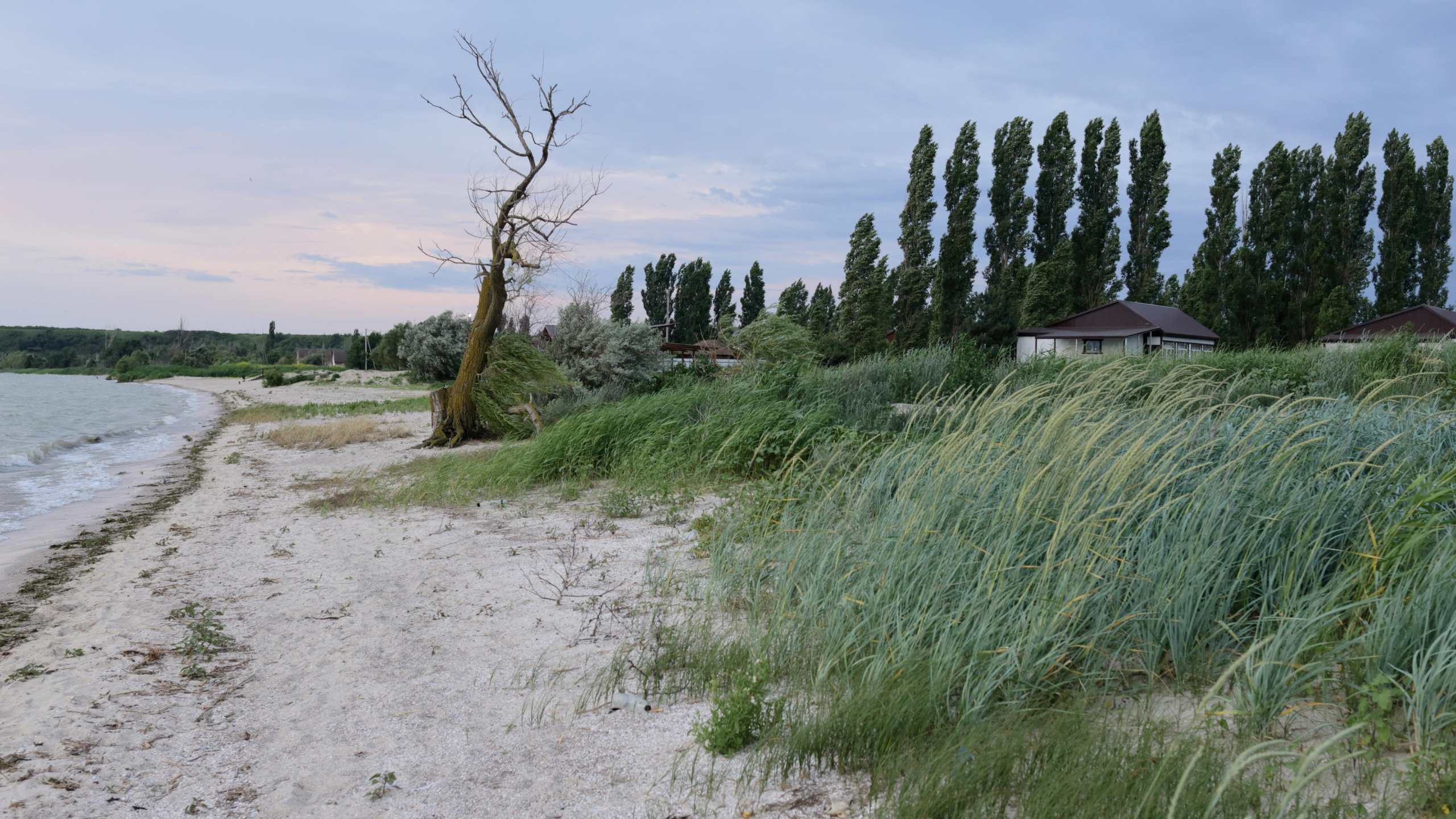 Природа. Творческие фотосессии в Москве