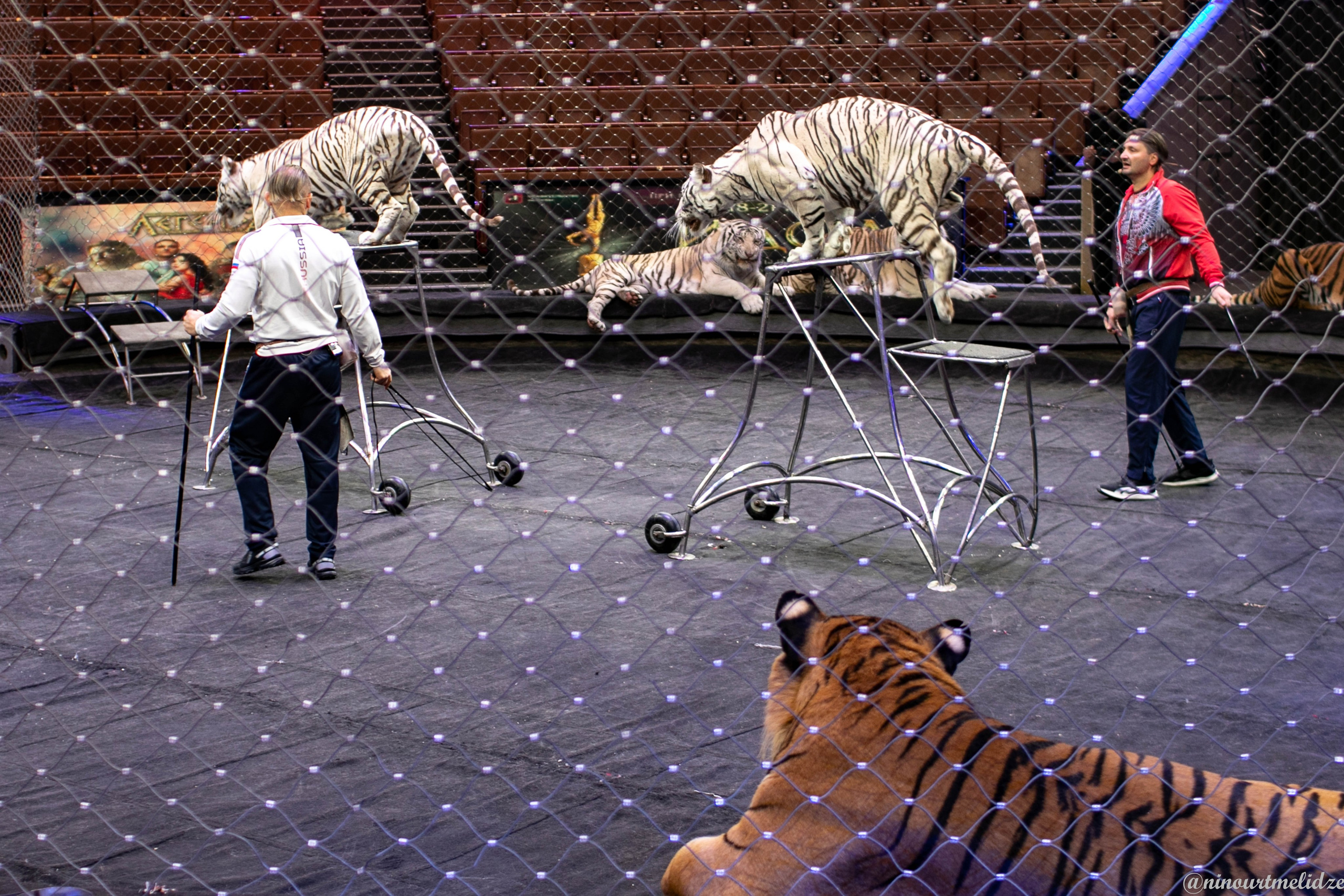 В закулисье у братьев Запашных. Art photographer Nino