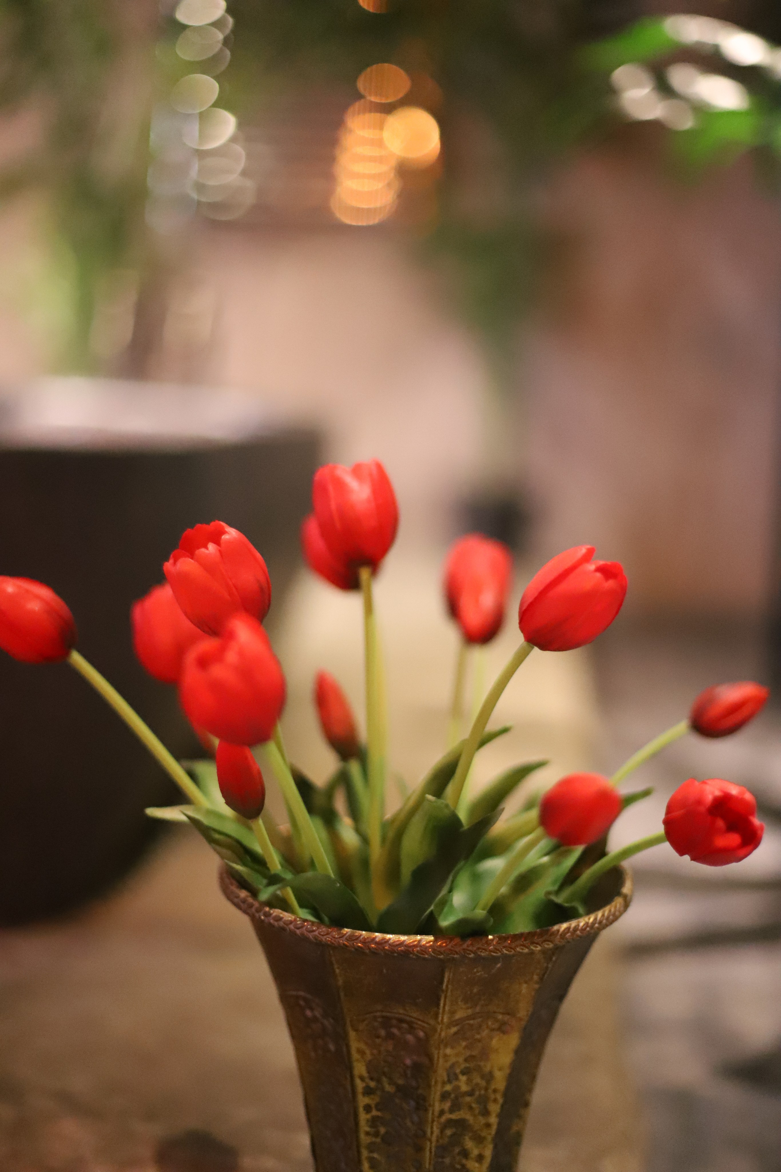 Индивидуальная фотосъемка для Юлии. Фотограф в Москве Елена Дроботя