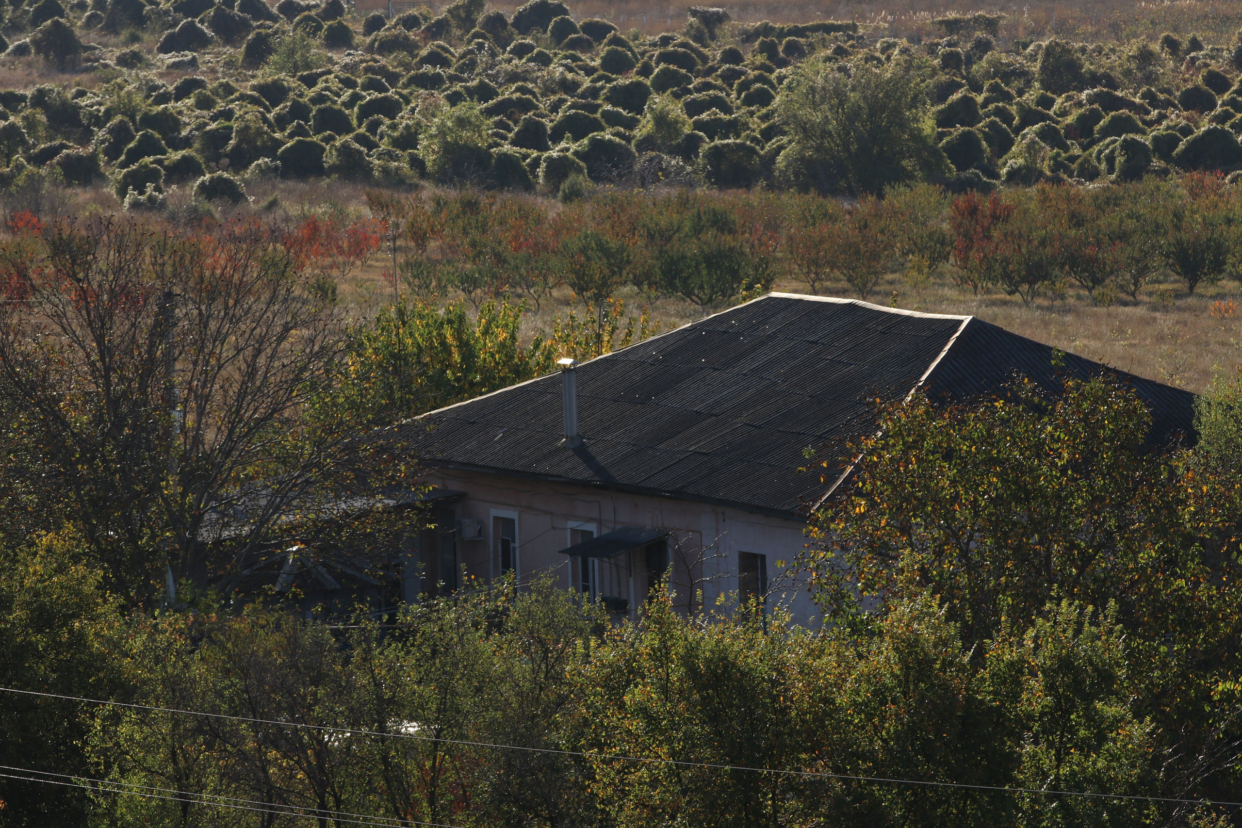 Крым. ЮБК (Гурзуф, Судак и их окрестности). Ноябрь 2023. Путешественник-фотограф из Санкт-Петербурга Татьяна Свистулина