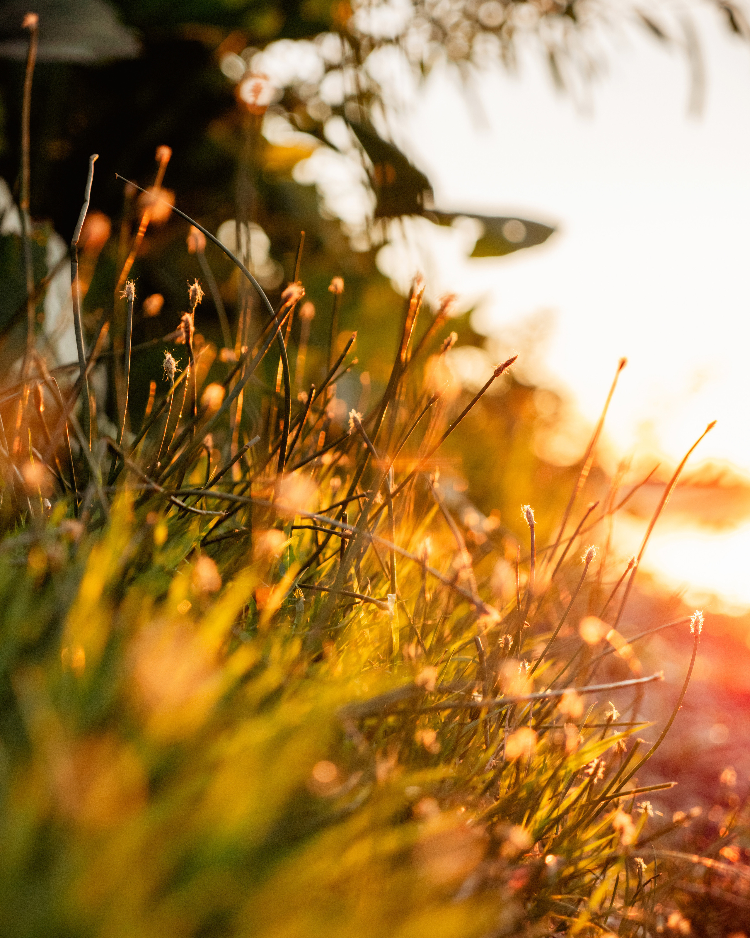 Семейный фотограф и видеограф Анастасия Брежнева