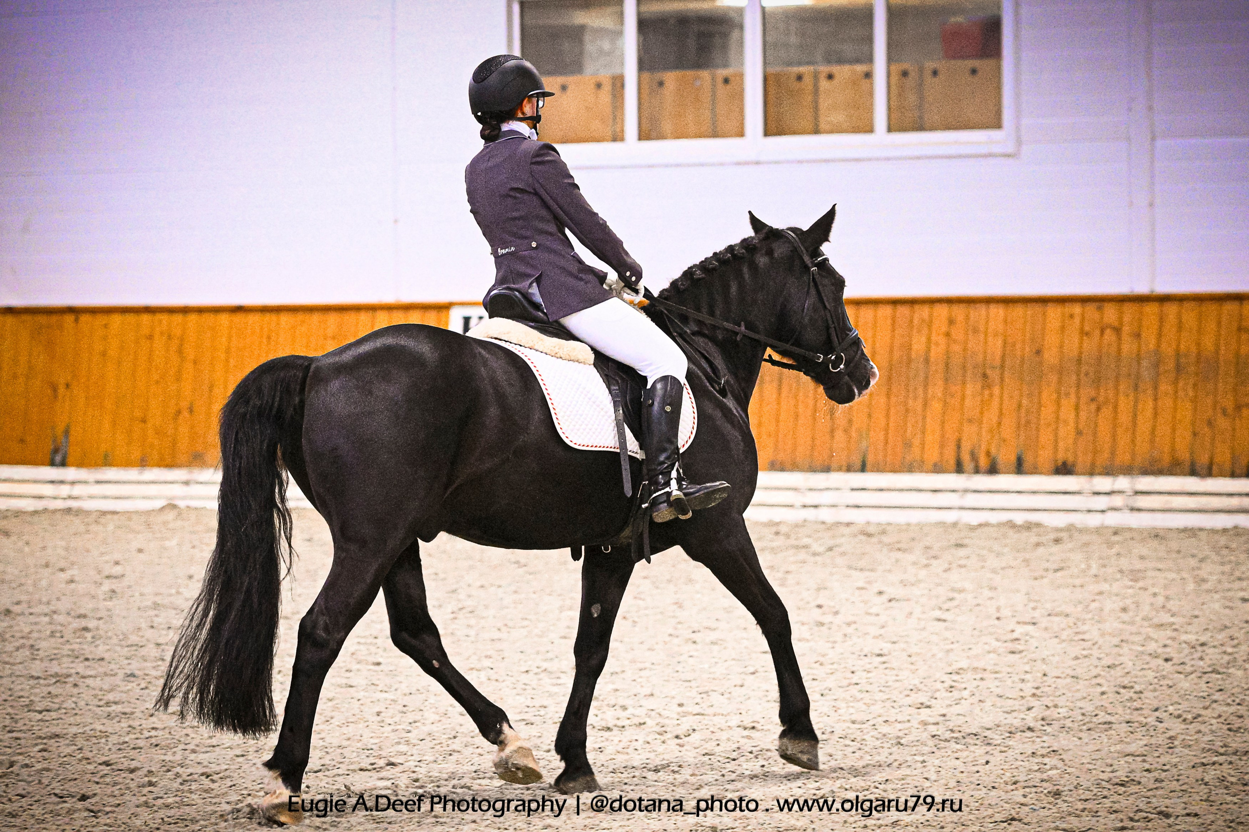 2025.10.19 — КСК Конкорд — выездка. ТУРНИРНАЯ КОННАЯ ФОТОГРАФИЯ, Руднева Ольга и Евгений Адеев
