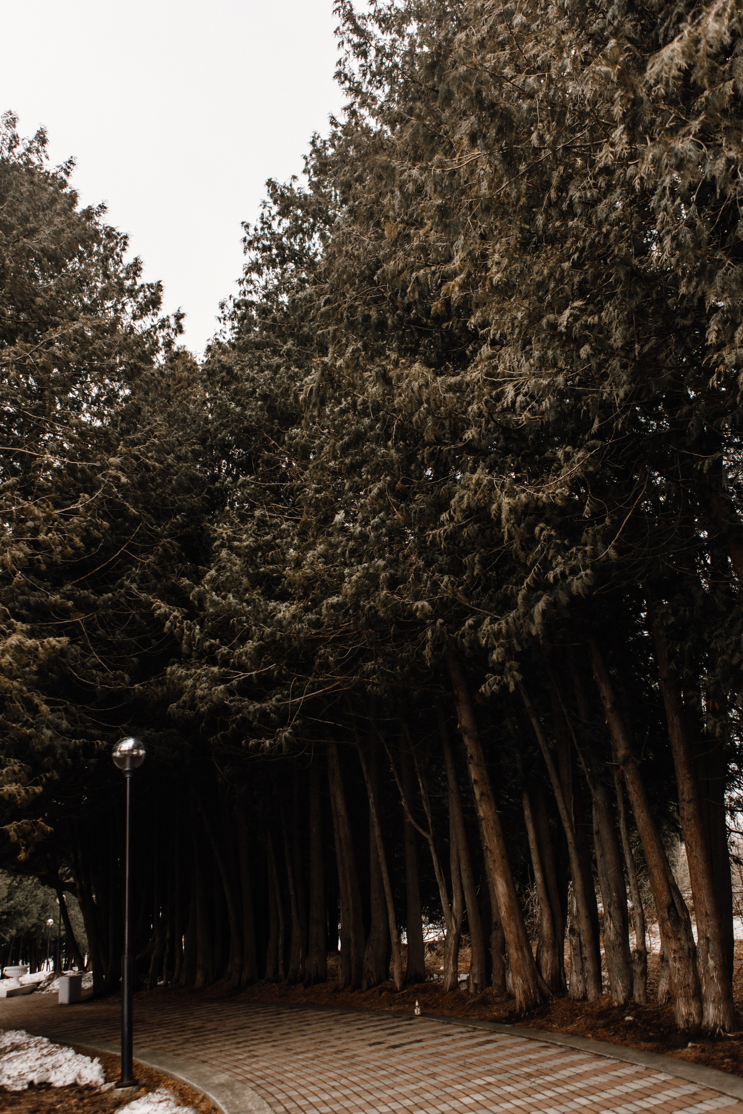 Юлия и Игорь. Фотограф Дубна