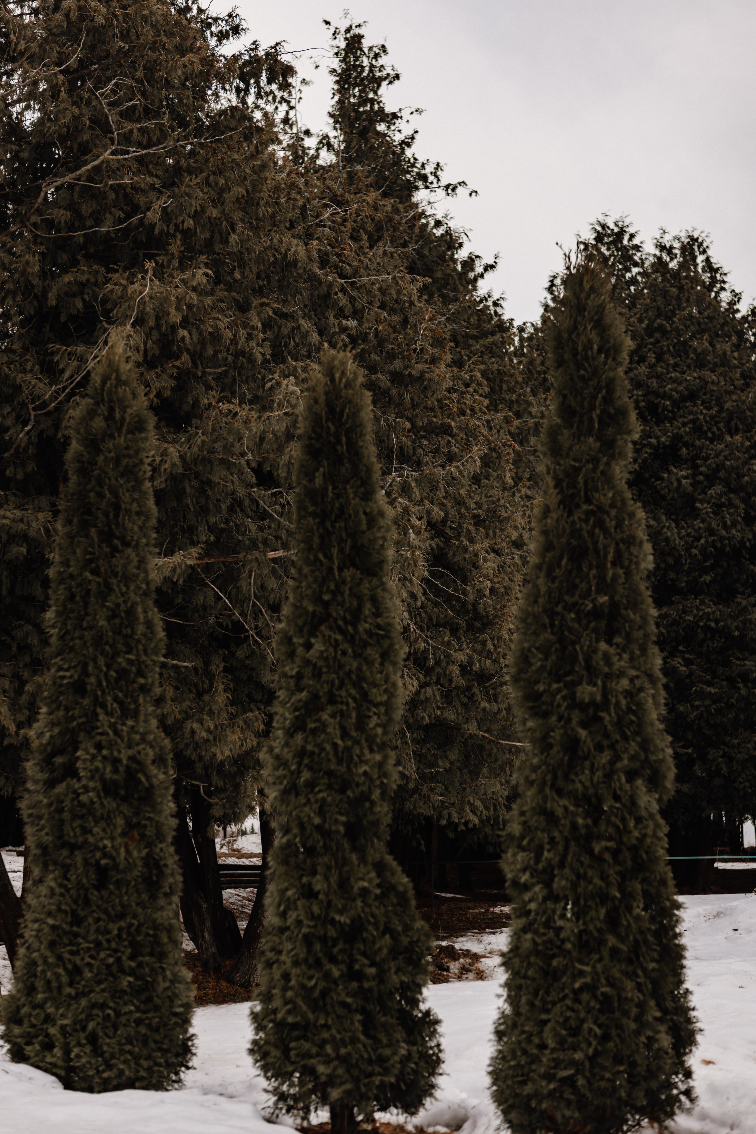 Юлия и Игорь. Фотограф Дубна