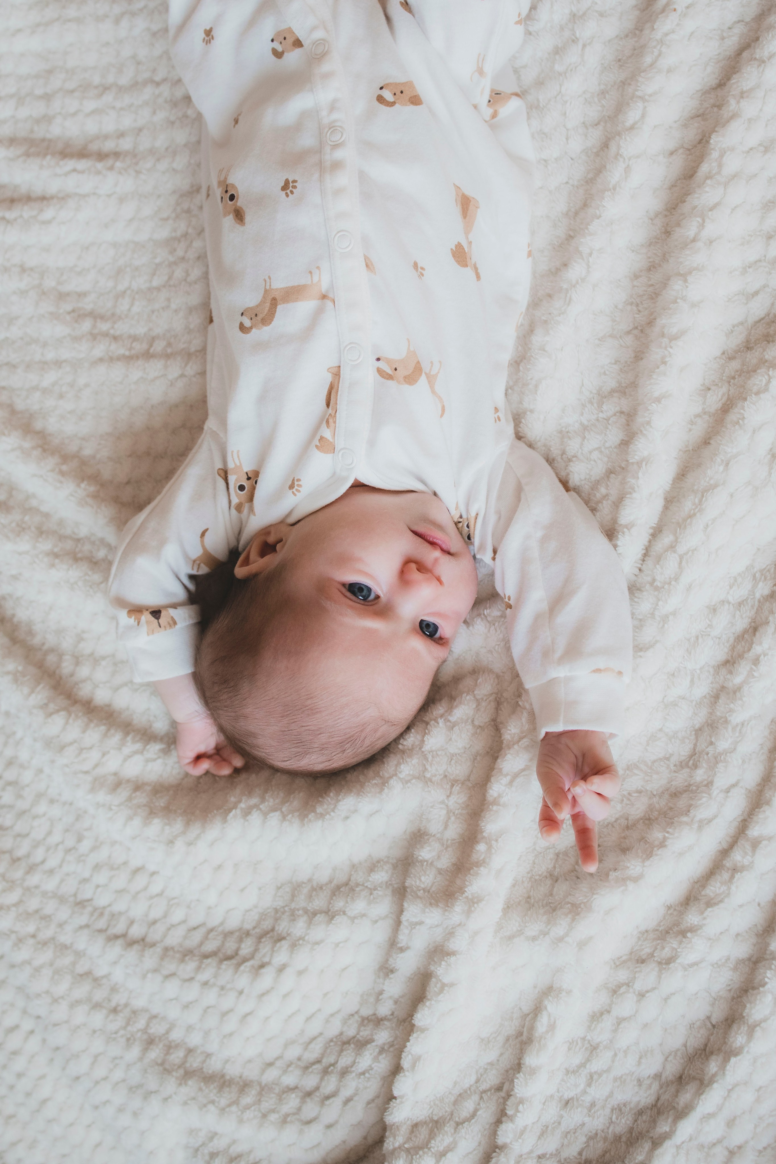 Николай и Наталья. Фотограф Виктория Куприянова